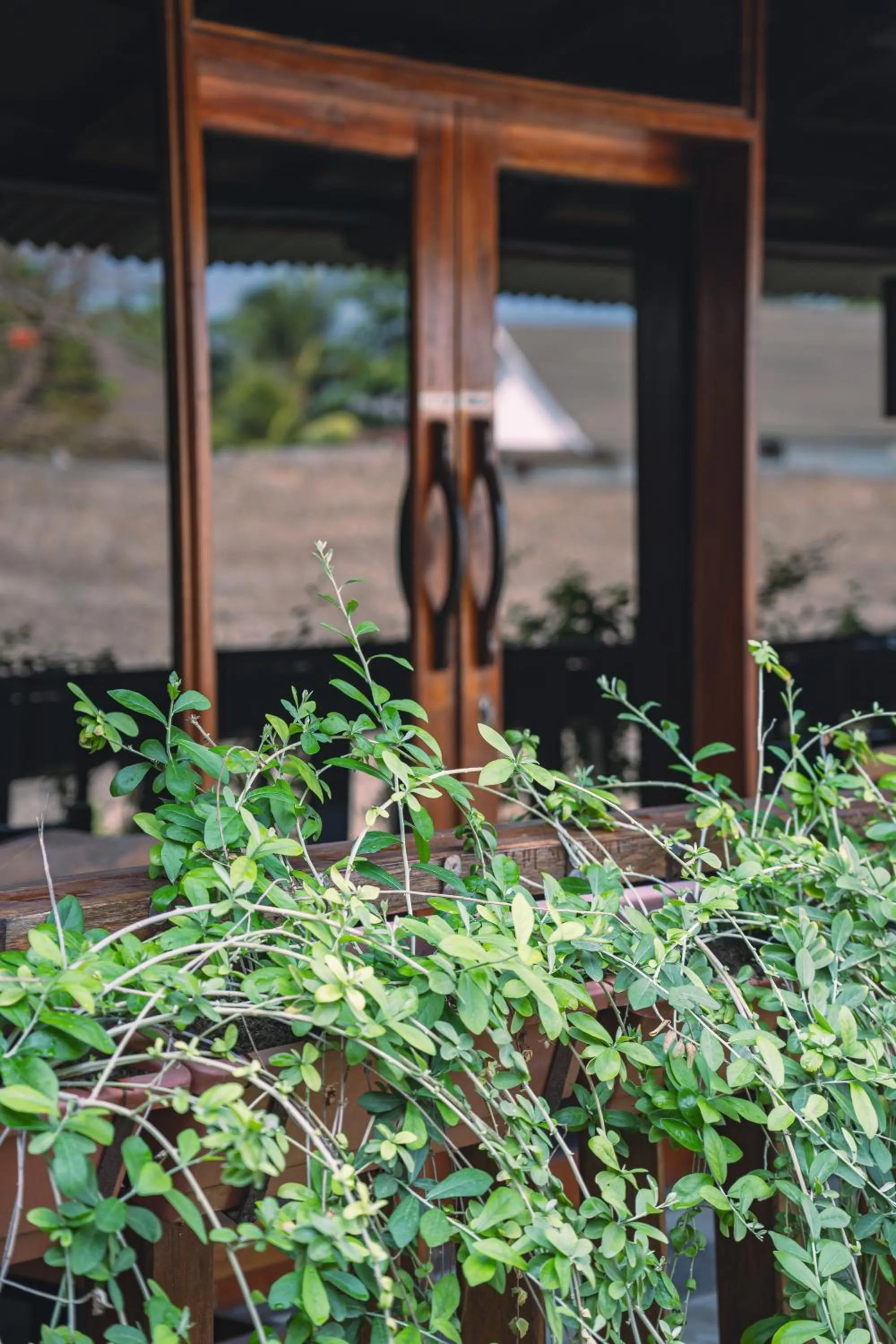 Day in Gili Divers Hotel