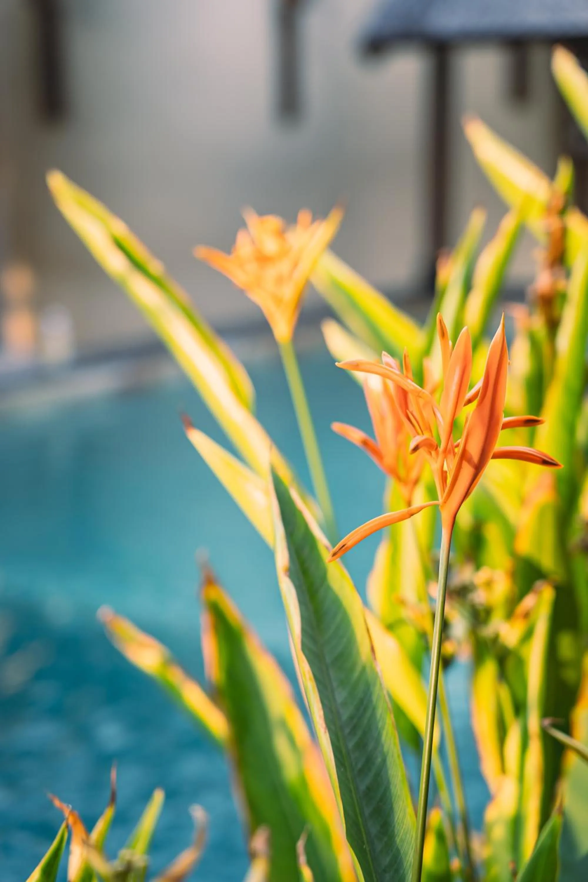 Day in Gili Divers Hotel