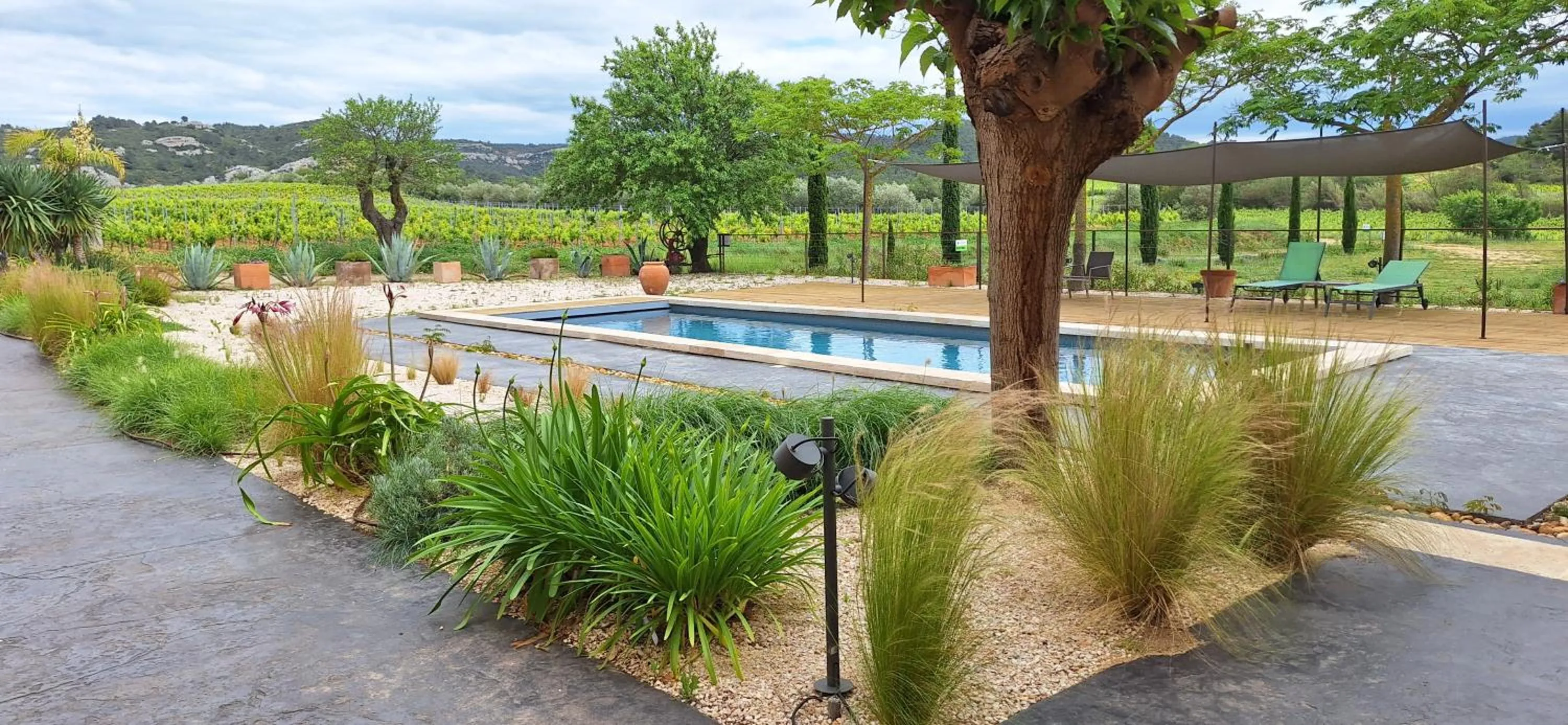 Pool view in Château La Sabine