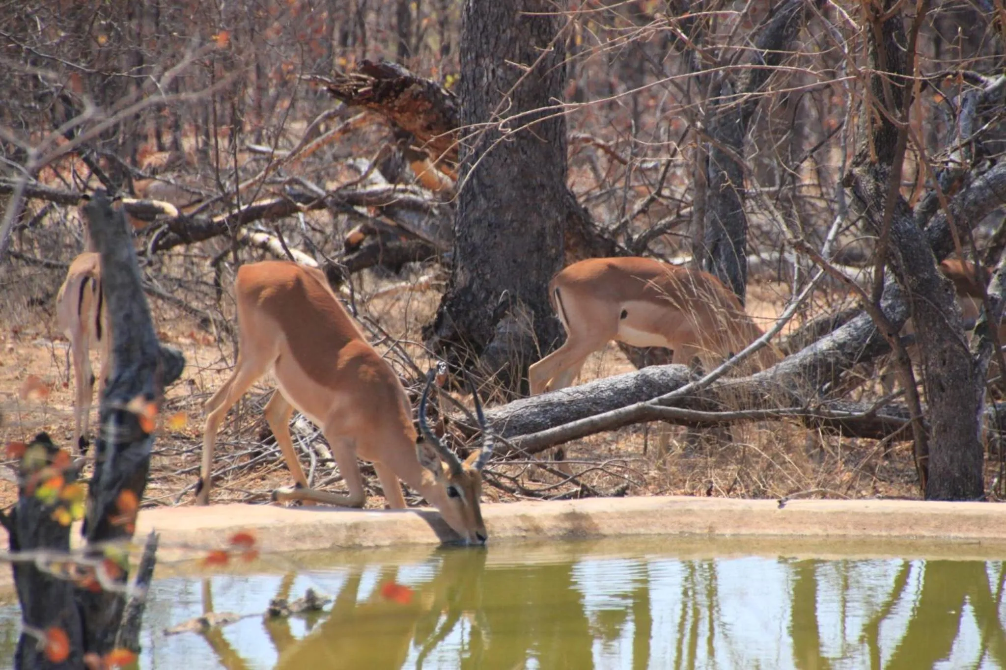 Hiking in Thula Private Lodge