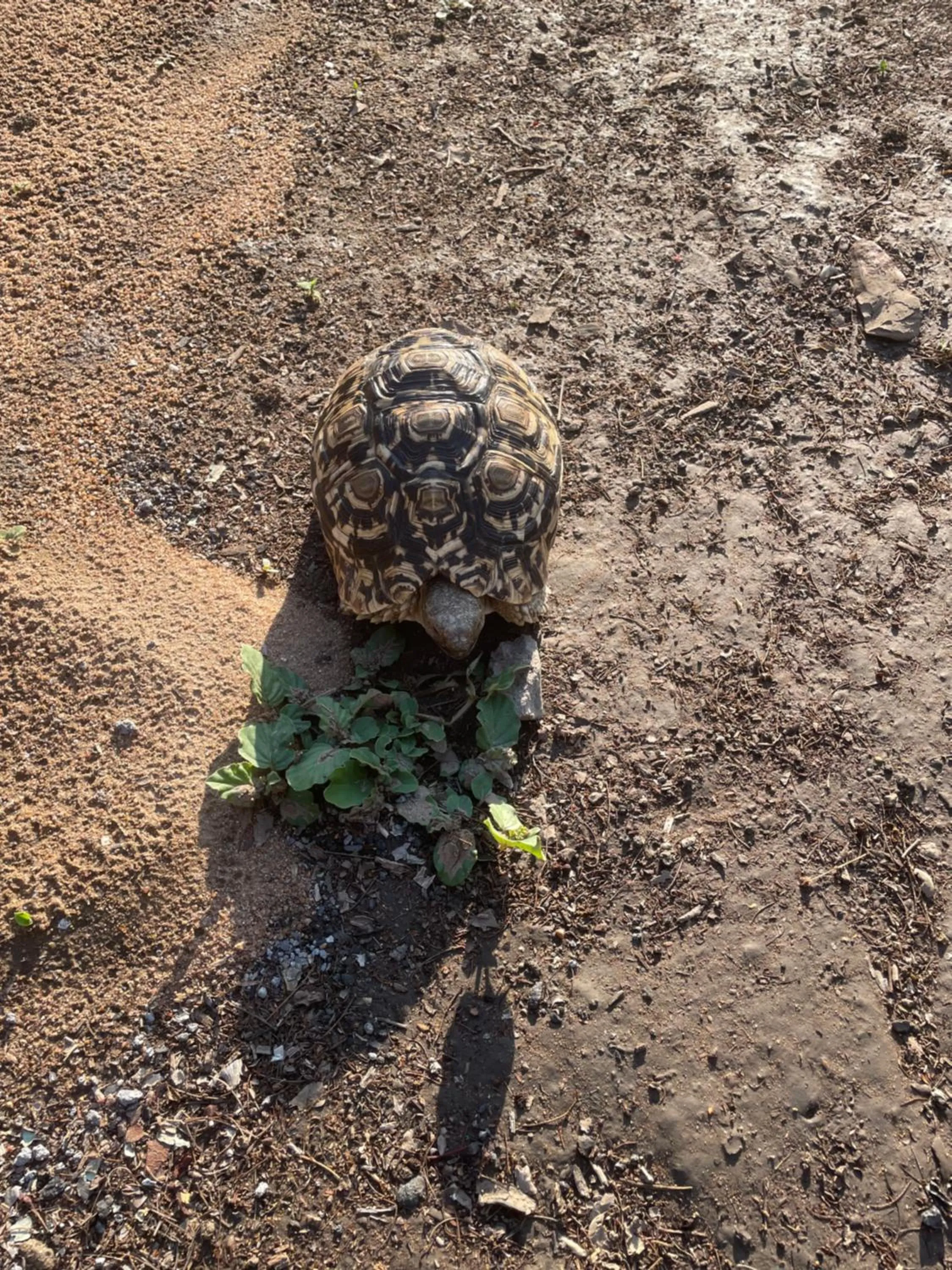 Hiking in Thula Private Lodge