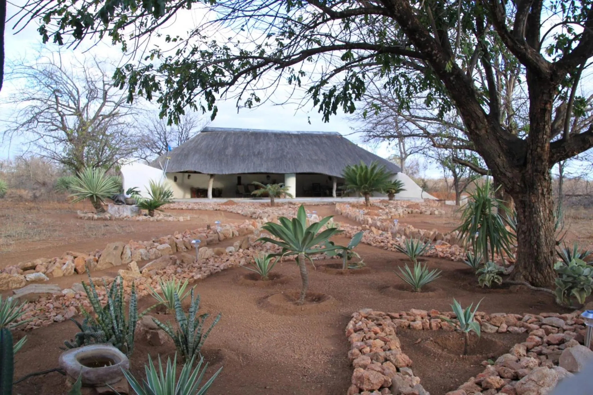 Swimming pool in Thula Private Lodge