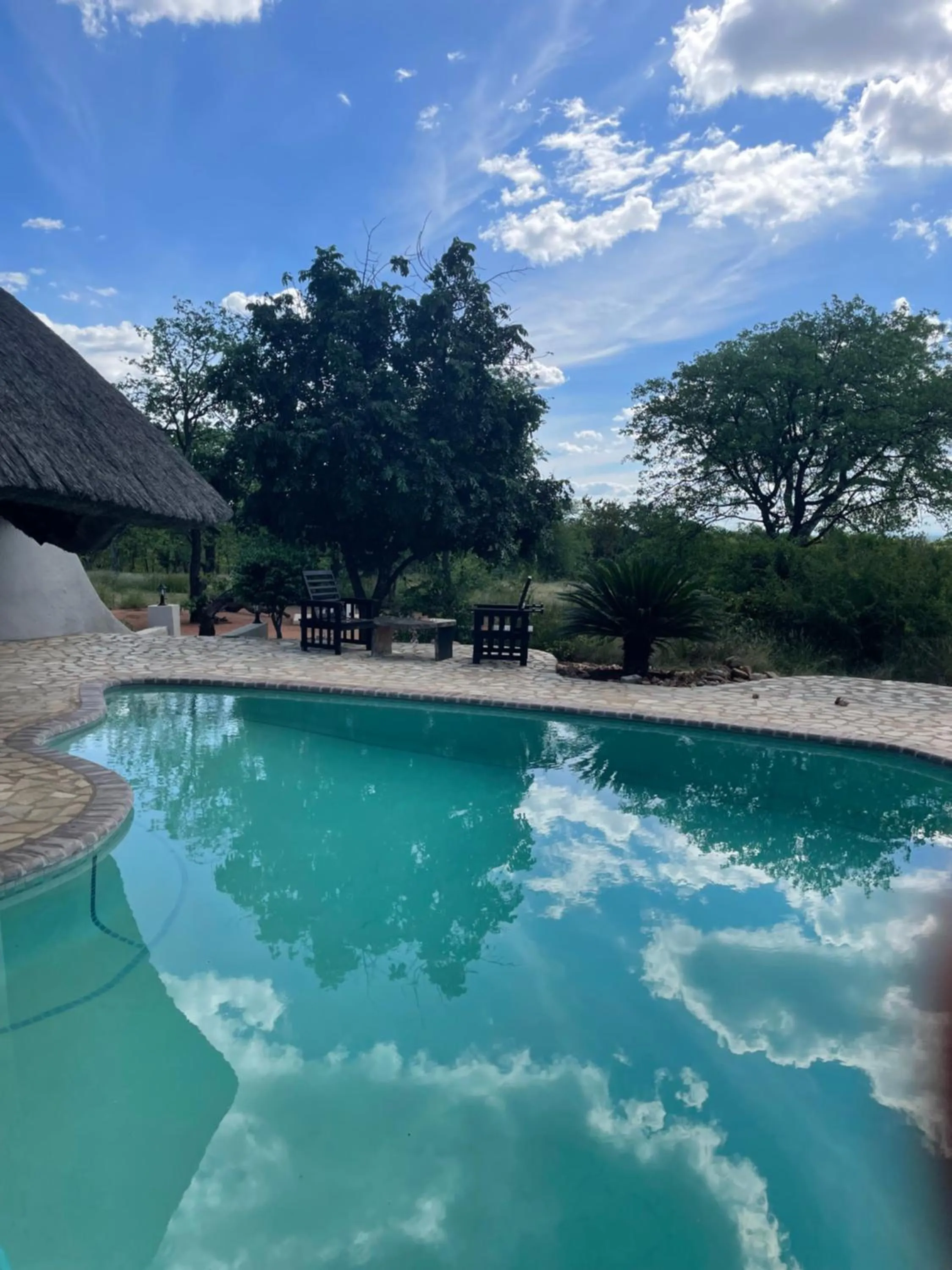 Swimming pool in Thula Private Lodge