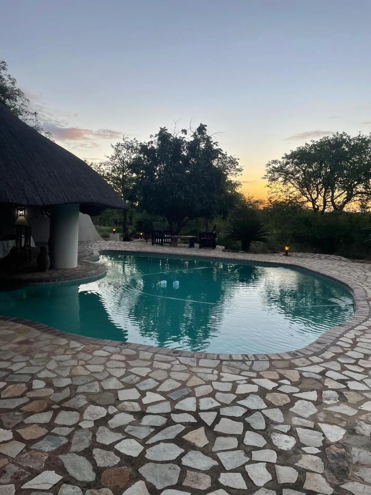 Swimming pool in Thula Private Lodge
