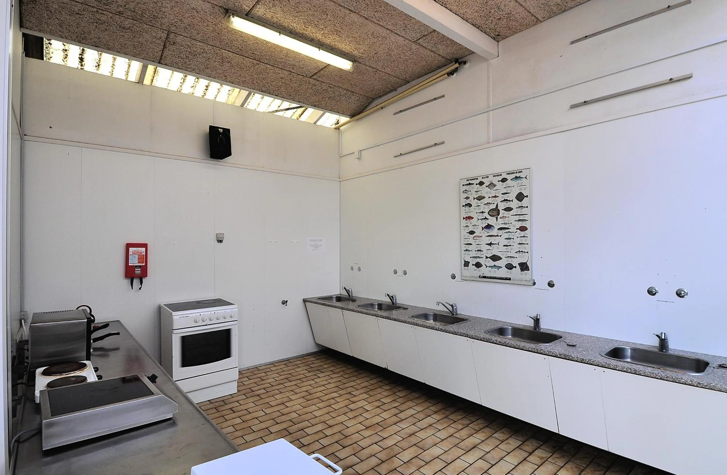 Property building in Dancamps Holmsland (Camp Site)