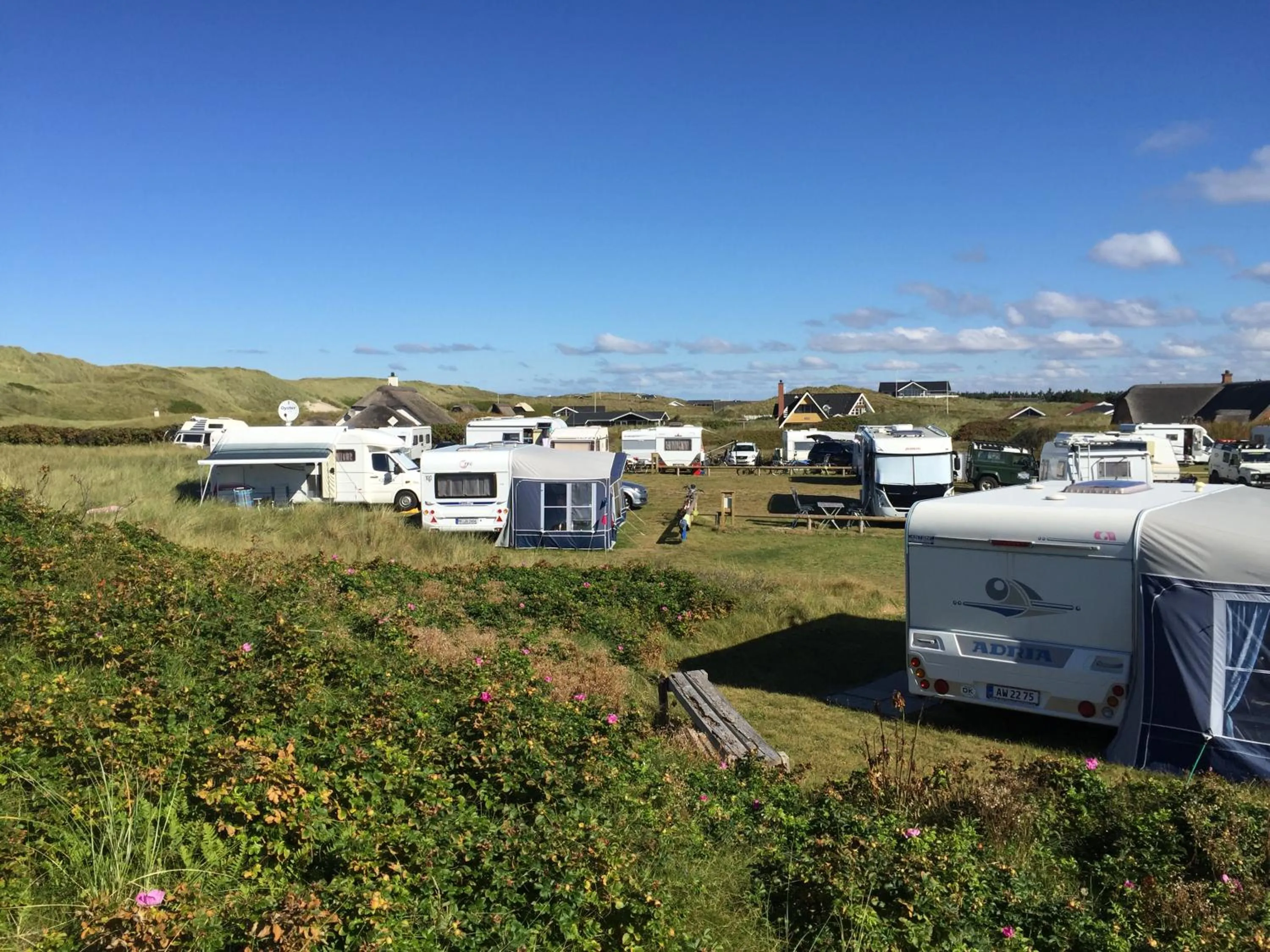 Other in Dancamps Holmsland (Camp Site)