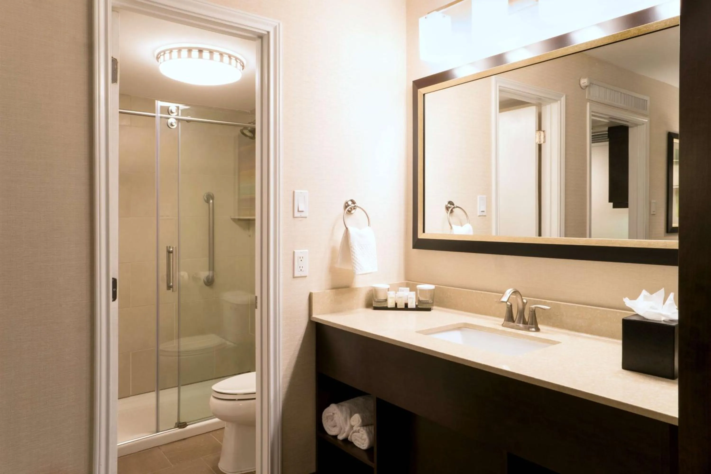 Shower in Embassy Suites Corpus Christi