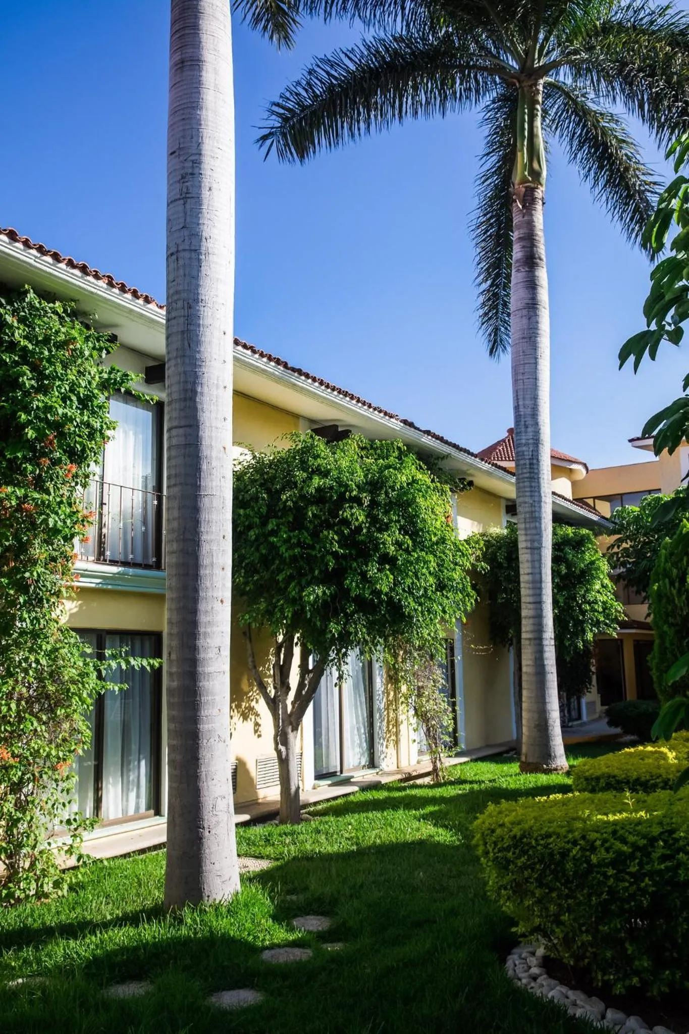 Swimming pool in Fiesta Inn Oaxaca