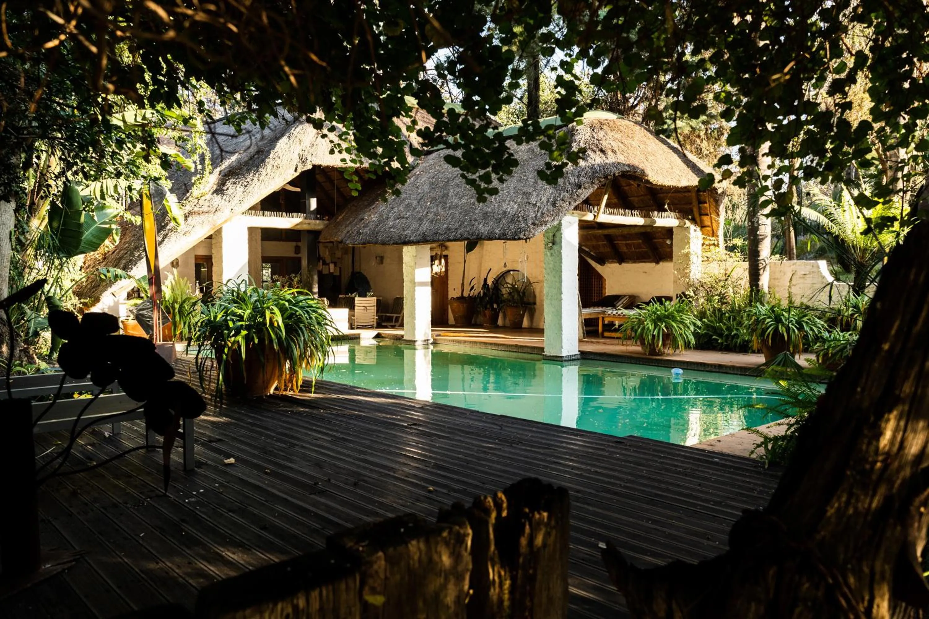 Swimming pool in Hakunamatata Lodge & Health Spa