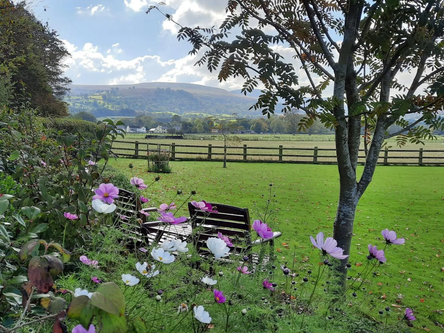 Natural landscape in The Lodge Brecon B&B