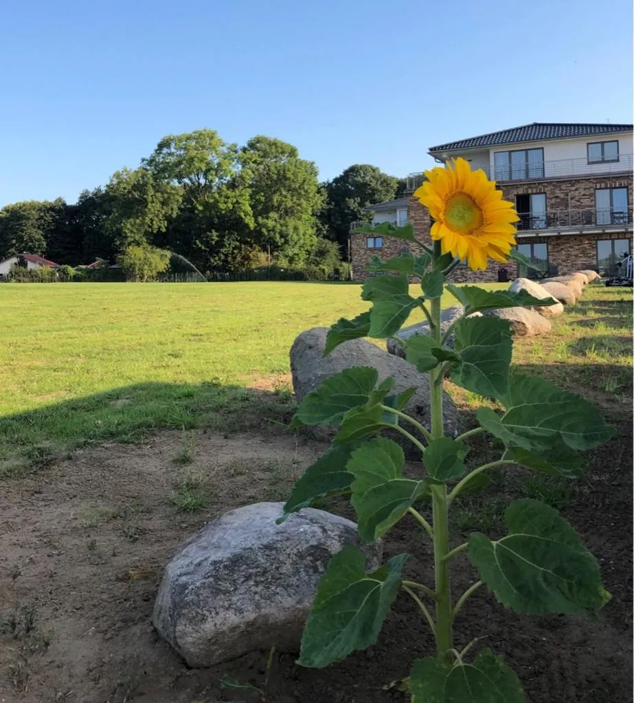 Garden view in Appartements an der Golfanlage