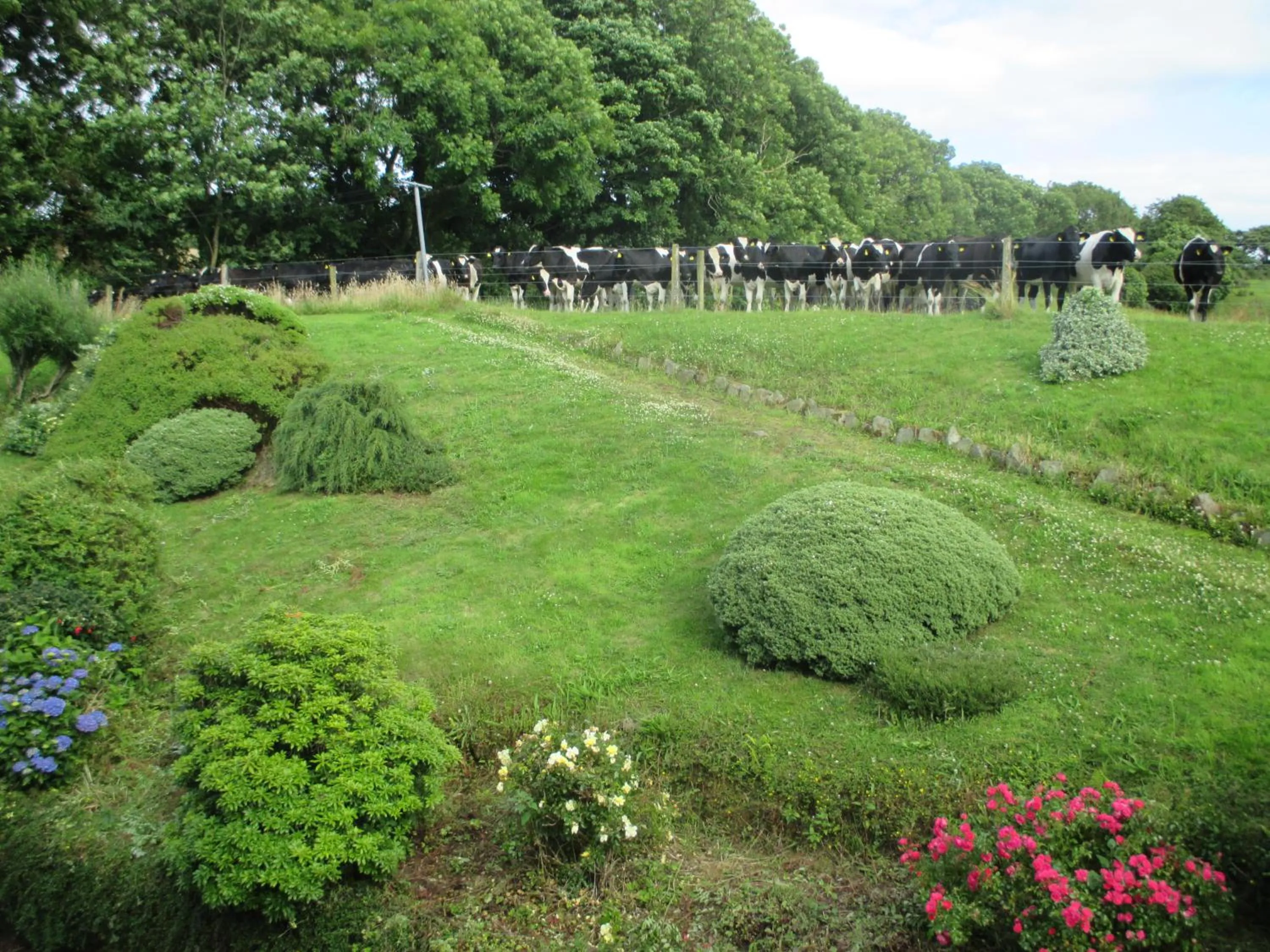 Garden in PK Lodge Bed and breakfast
