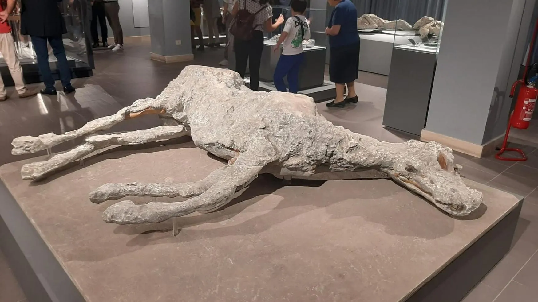 Nearby landmark in B&B Pompei Olympus