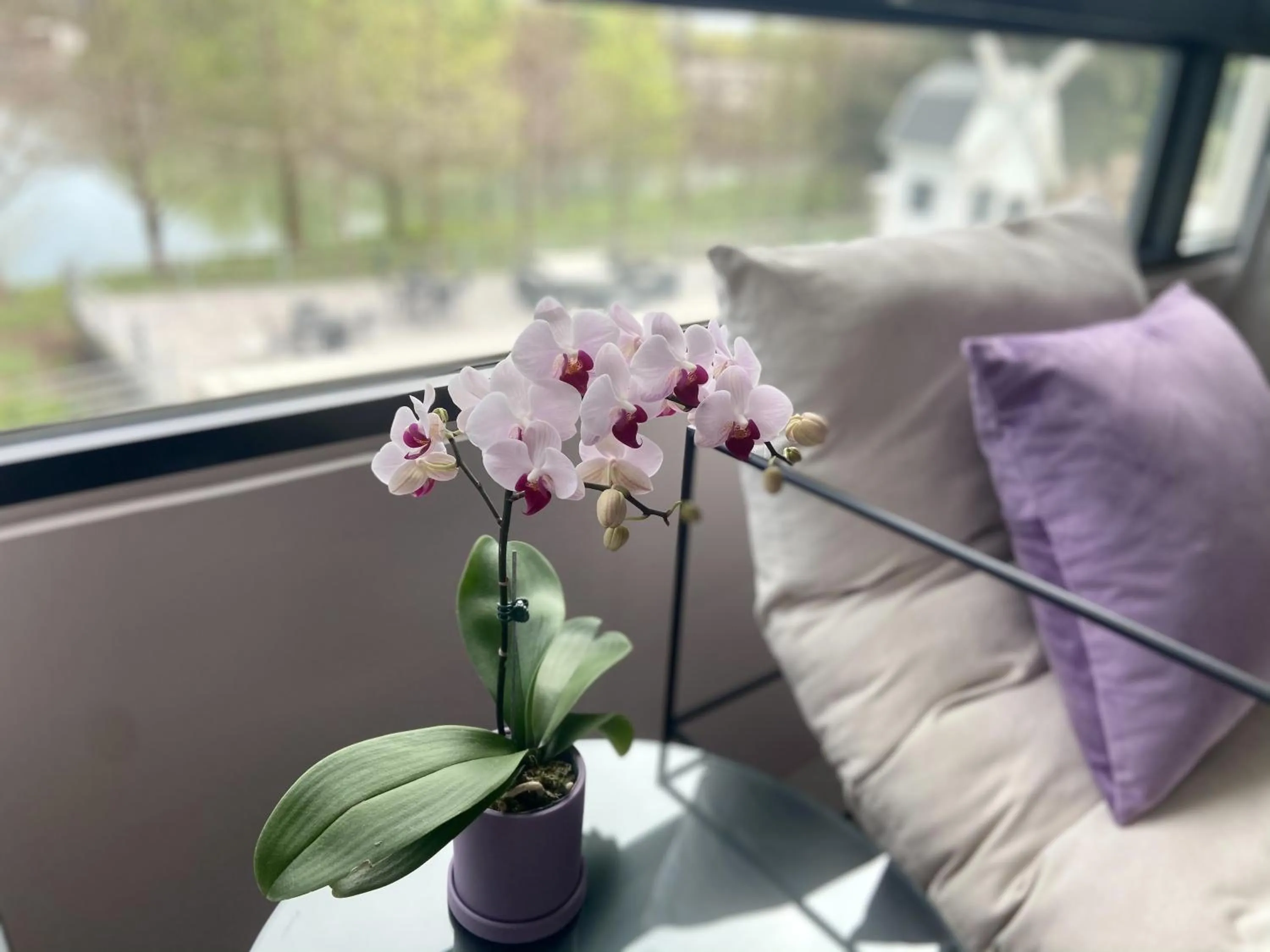 Follow the Cloud B&B