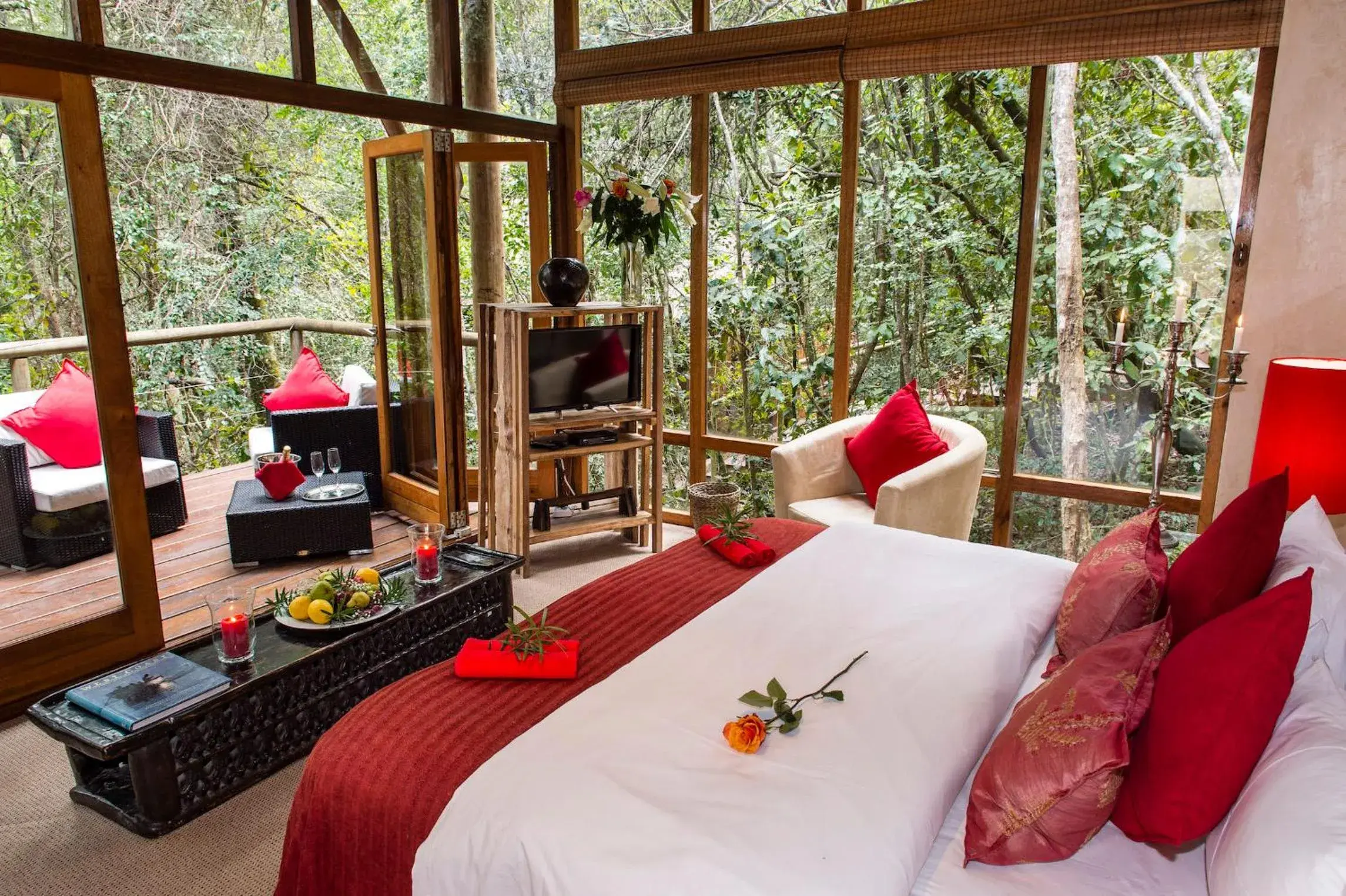 Deluxe Double Room with Terrace - single occupancy in Trogon House and Forest Spa Deluxe Double Room with Terrace - single occupancy in Trogon House and Forest Spa