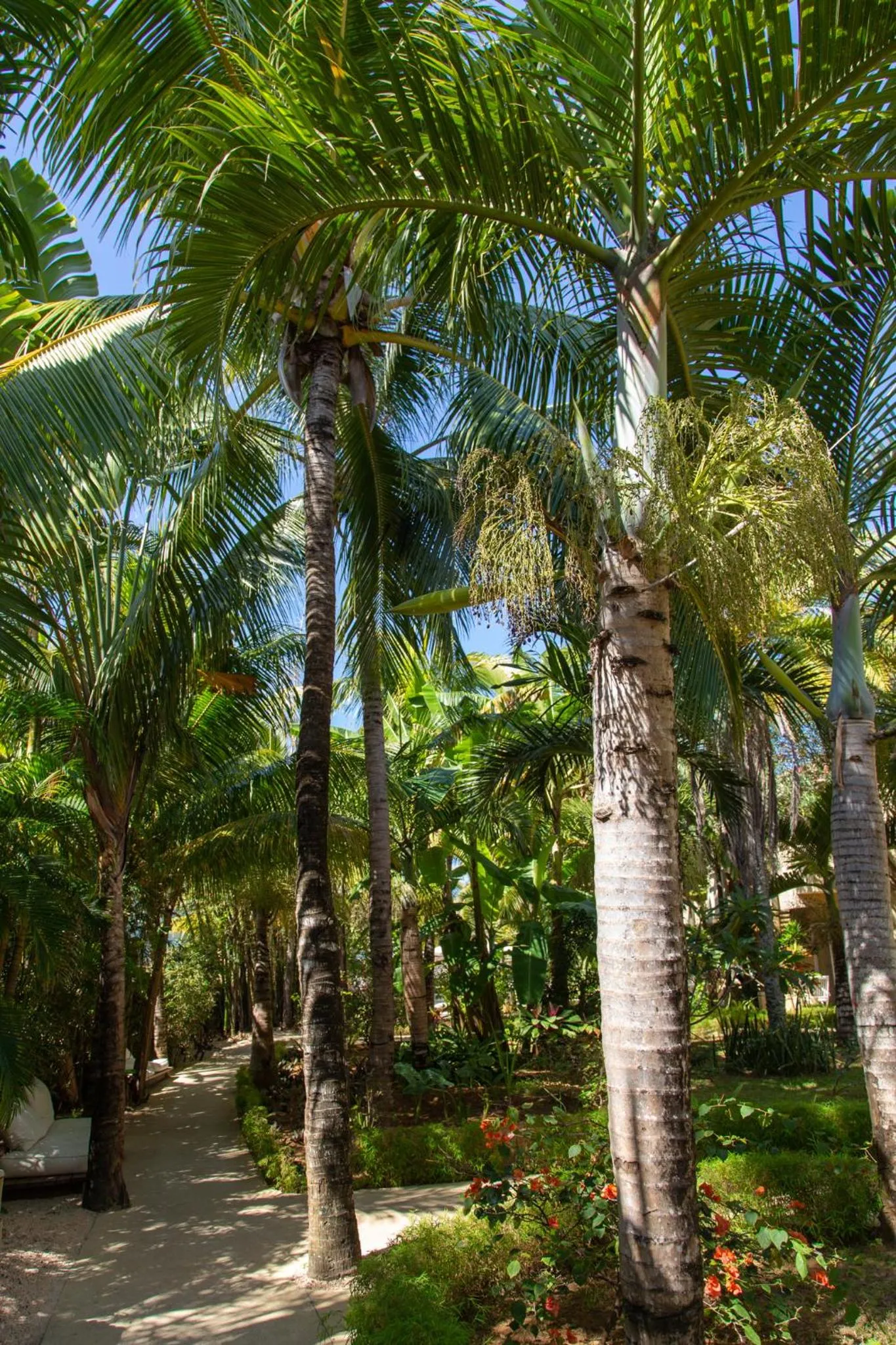 Garden in Friday Attitude