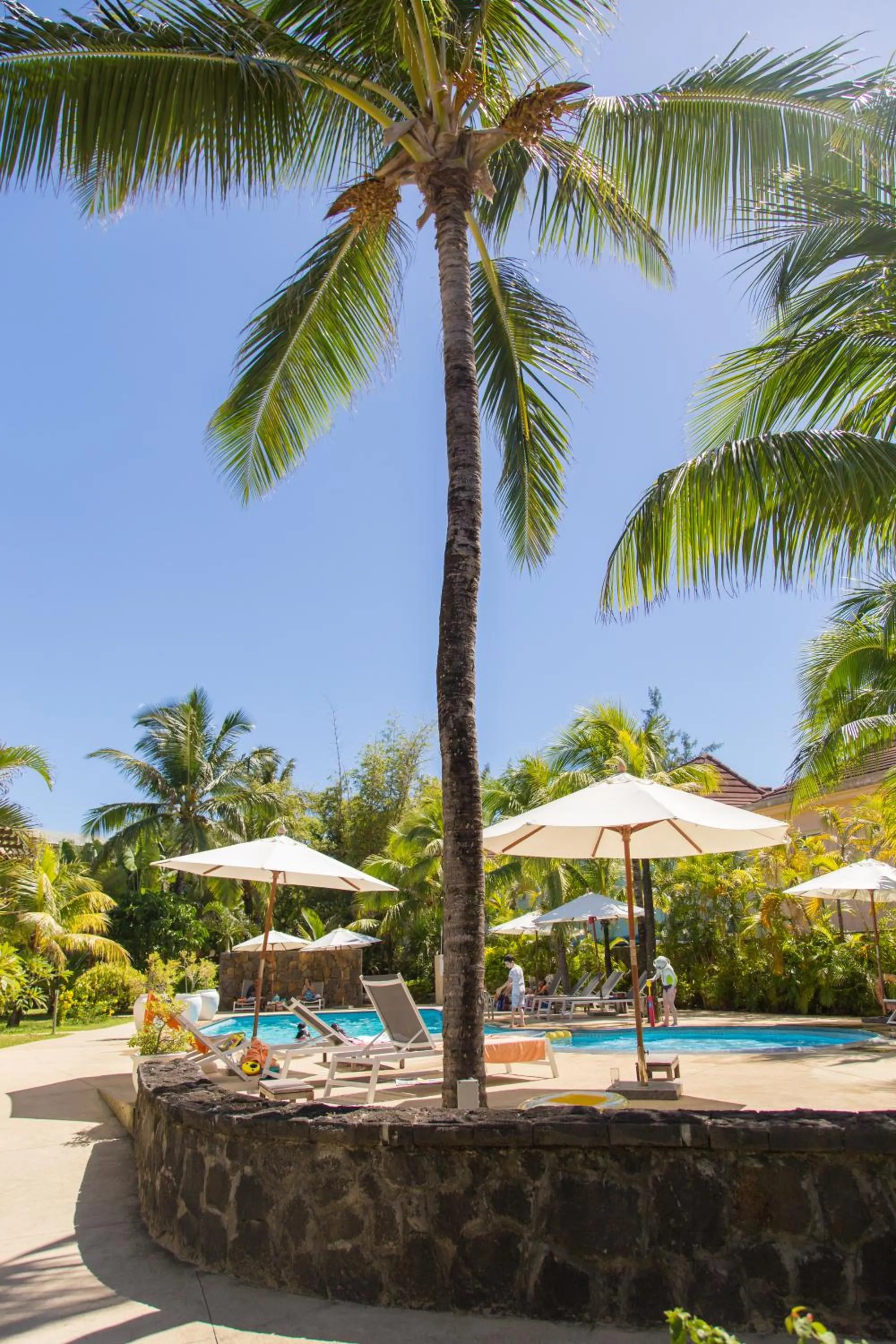 Day in Friday Attitude