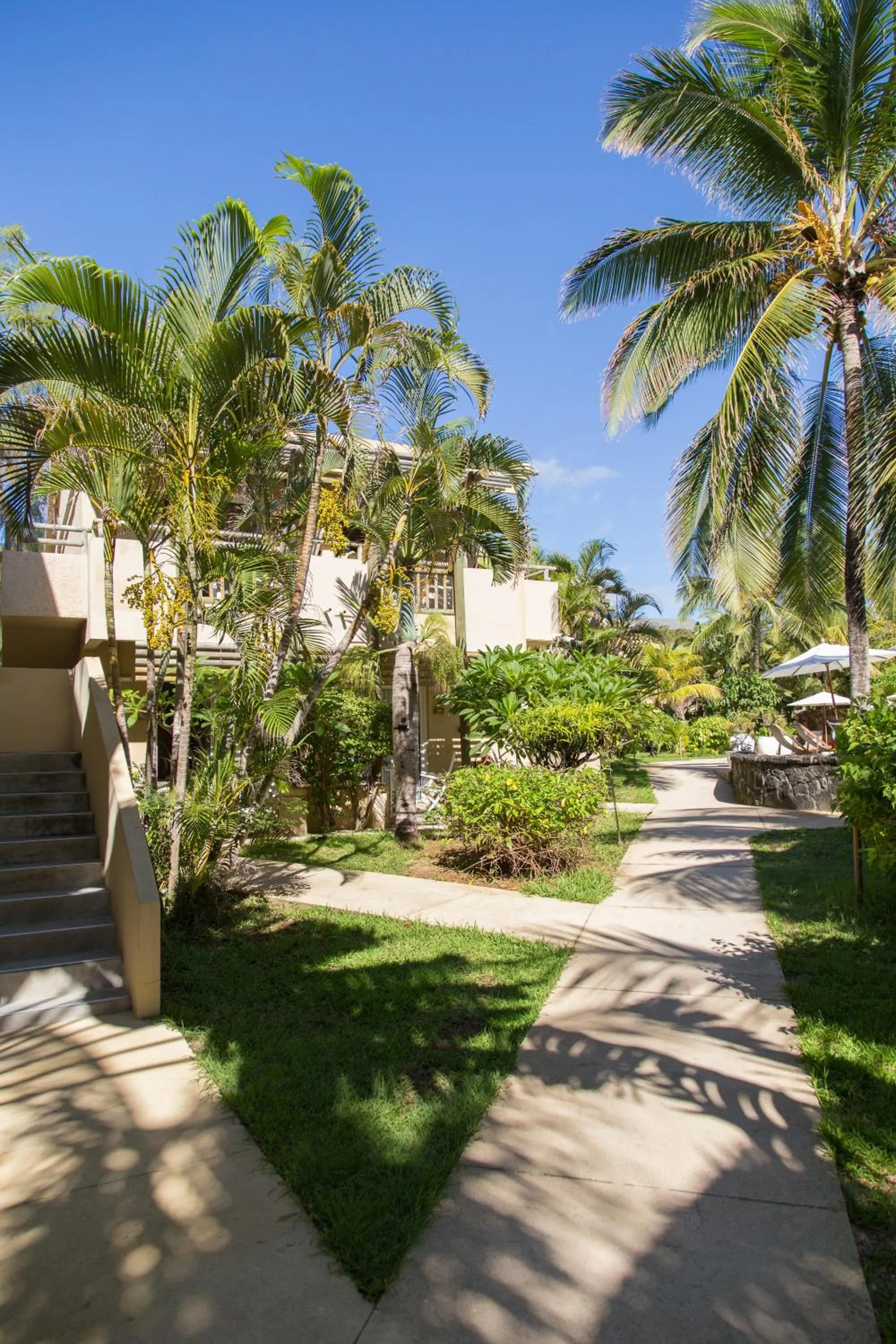 Day in Friday Attitude