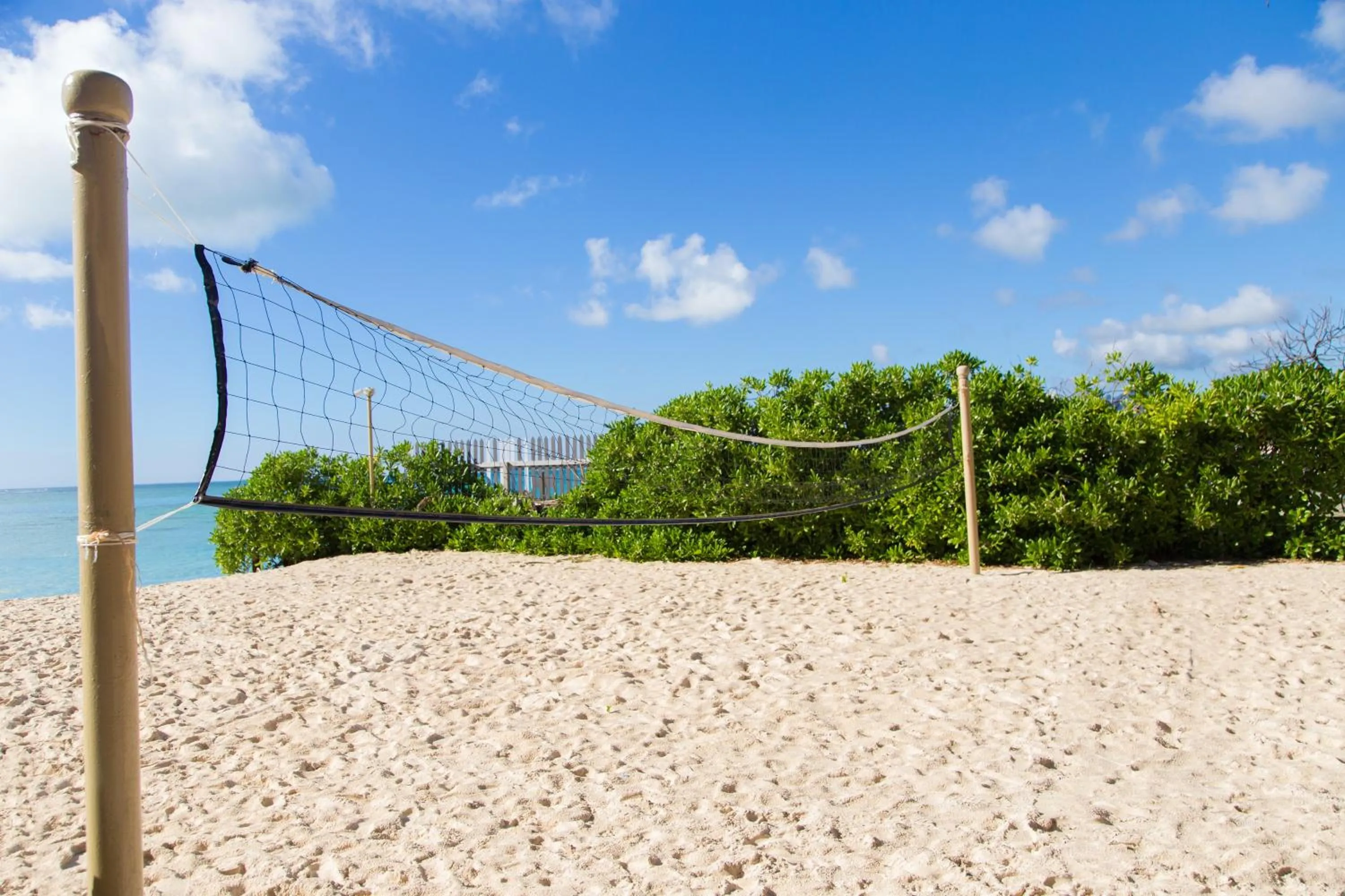 Day in Friday Attitude