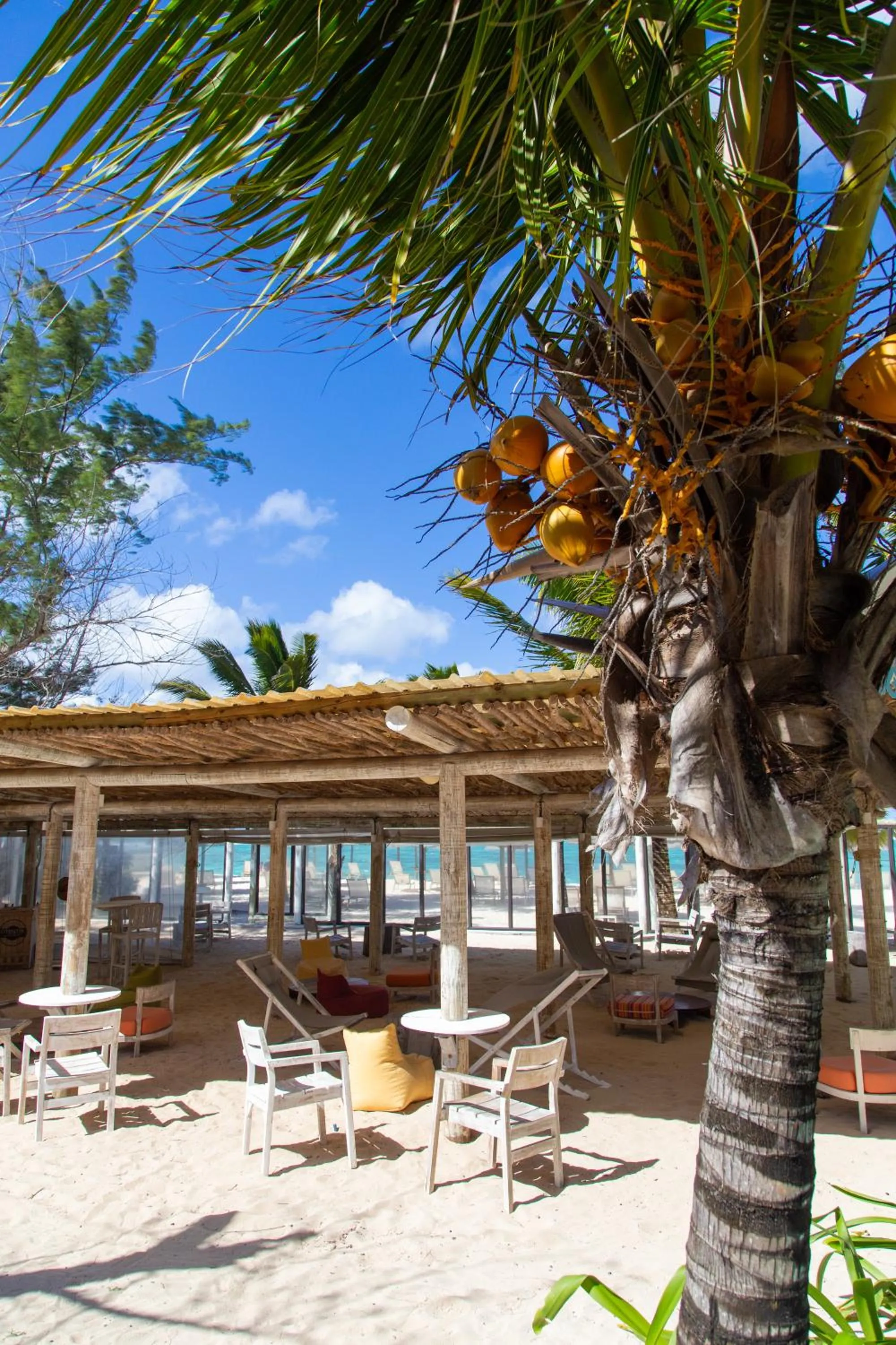 Lounge or bar in Friday Attitude