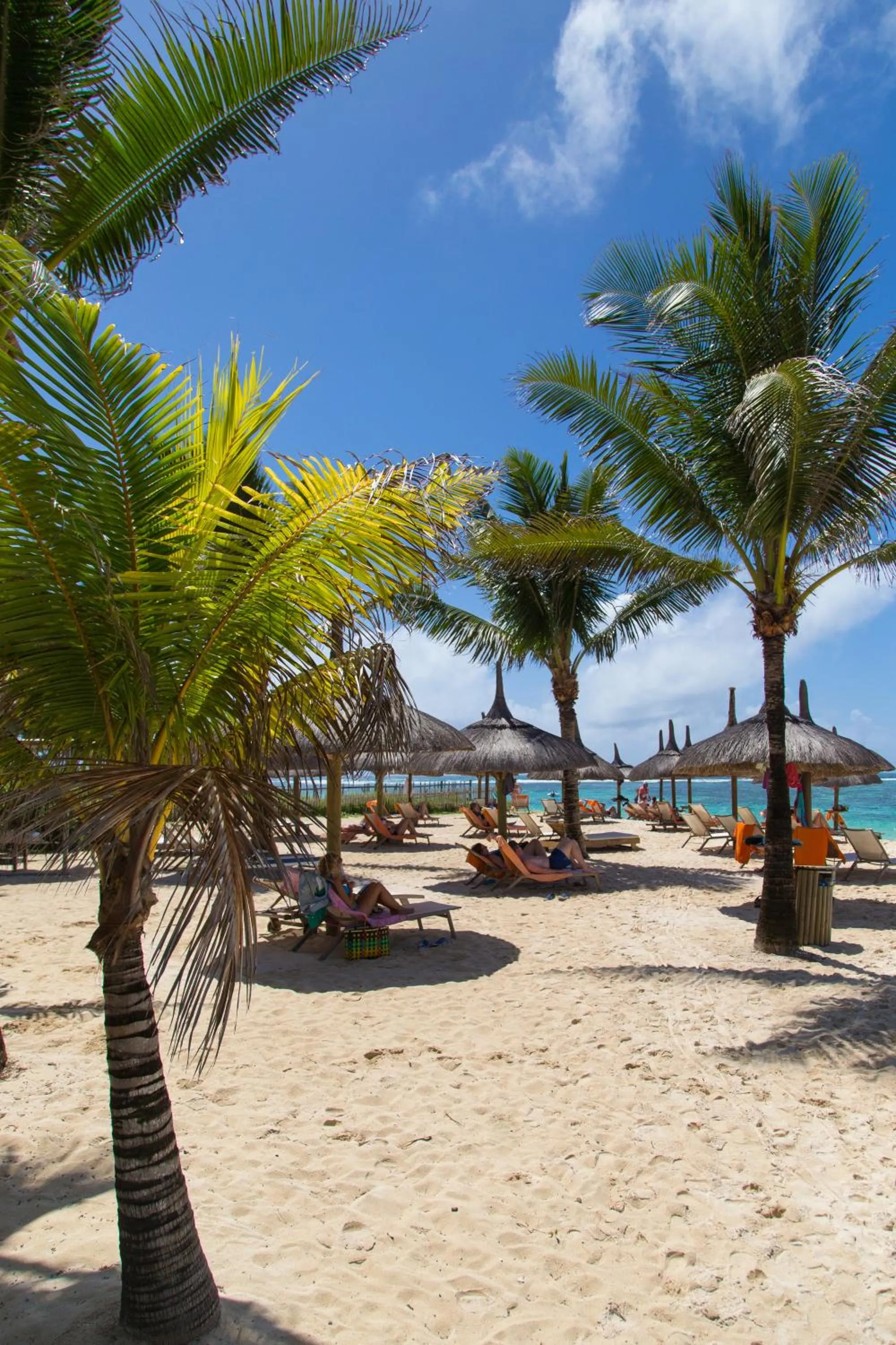 Day in Friday Attitude