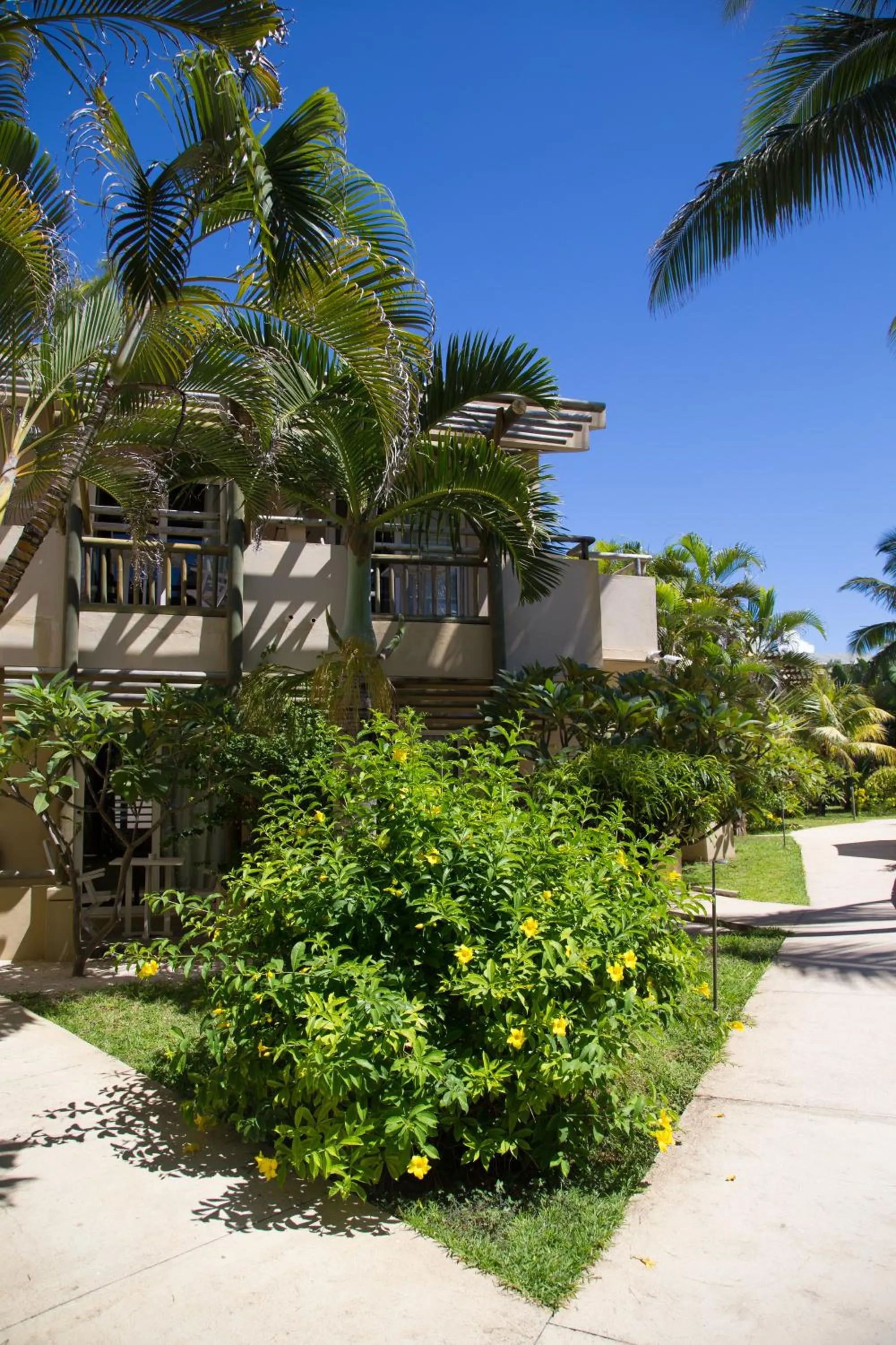 Day in Friday Attitude