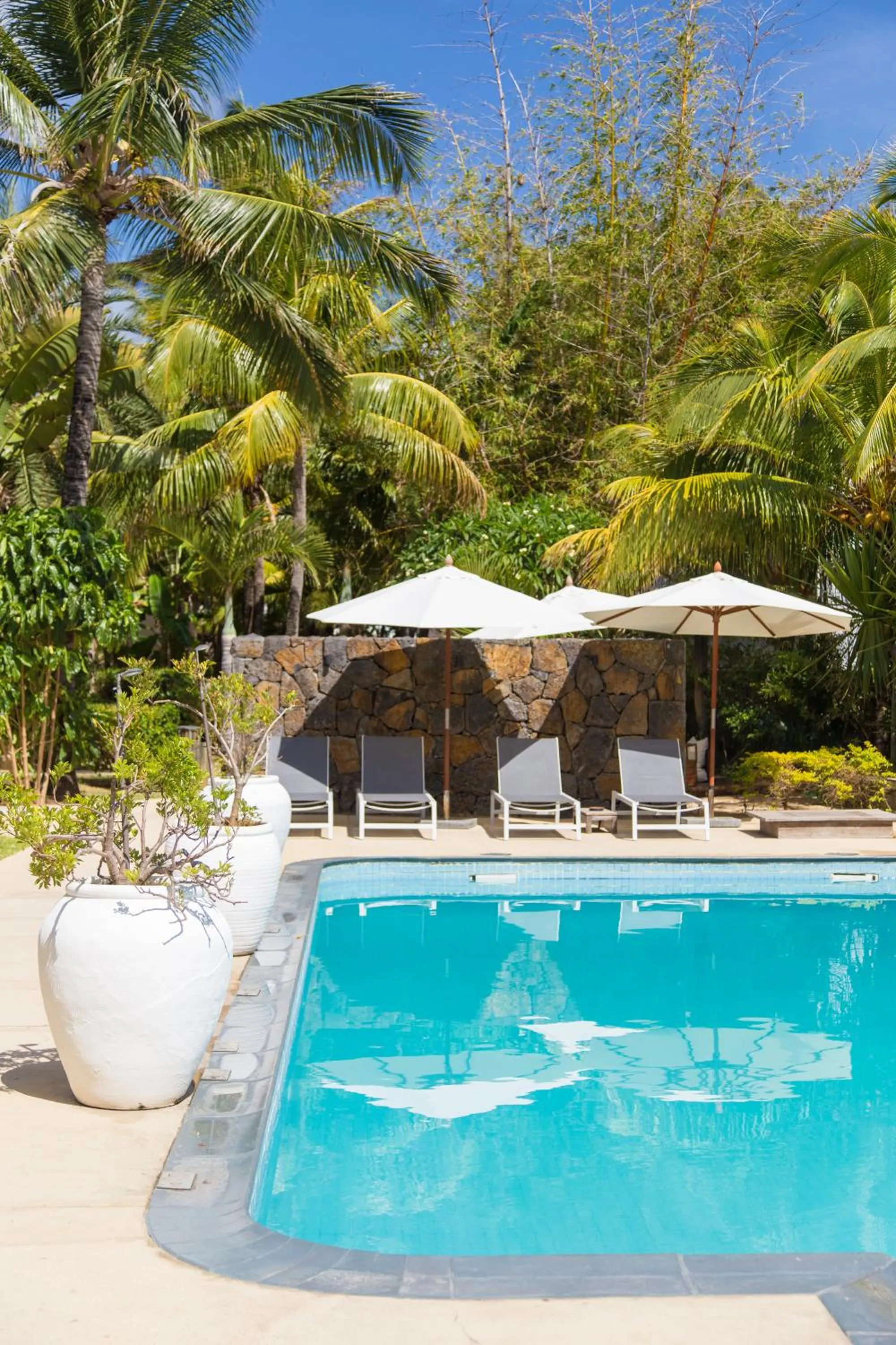 Day in Friday Attitude