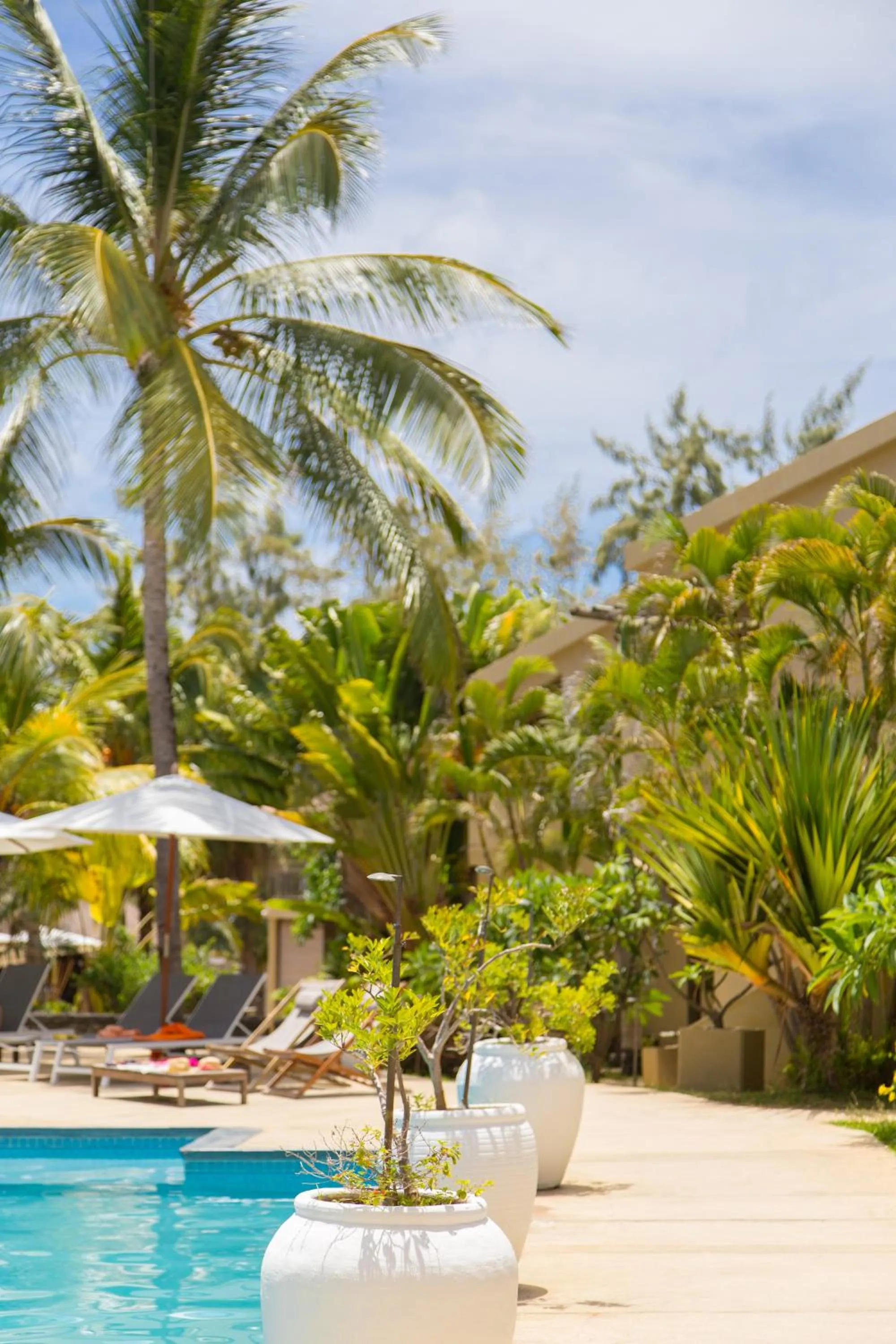 Day in Friday Attitude