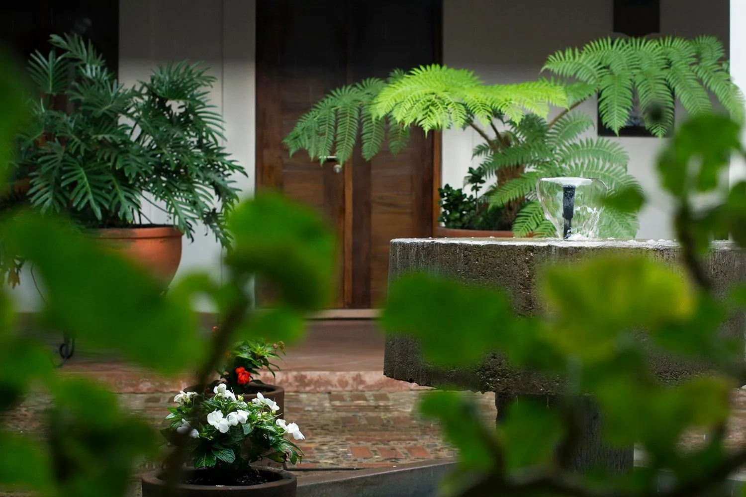 Patio in Hotel Posada Santa Rita