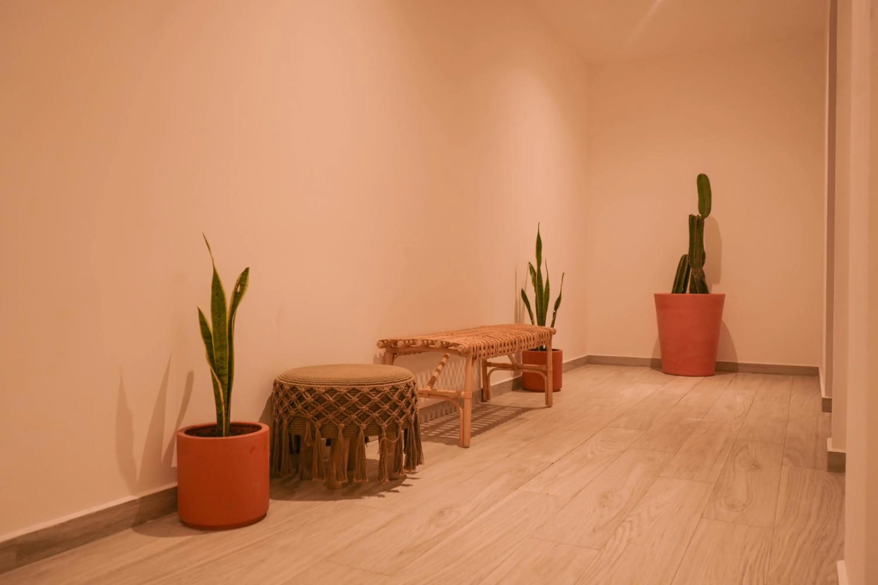 Macondo Quinta Avenida Residences