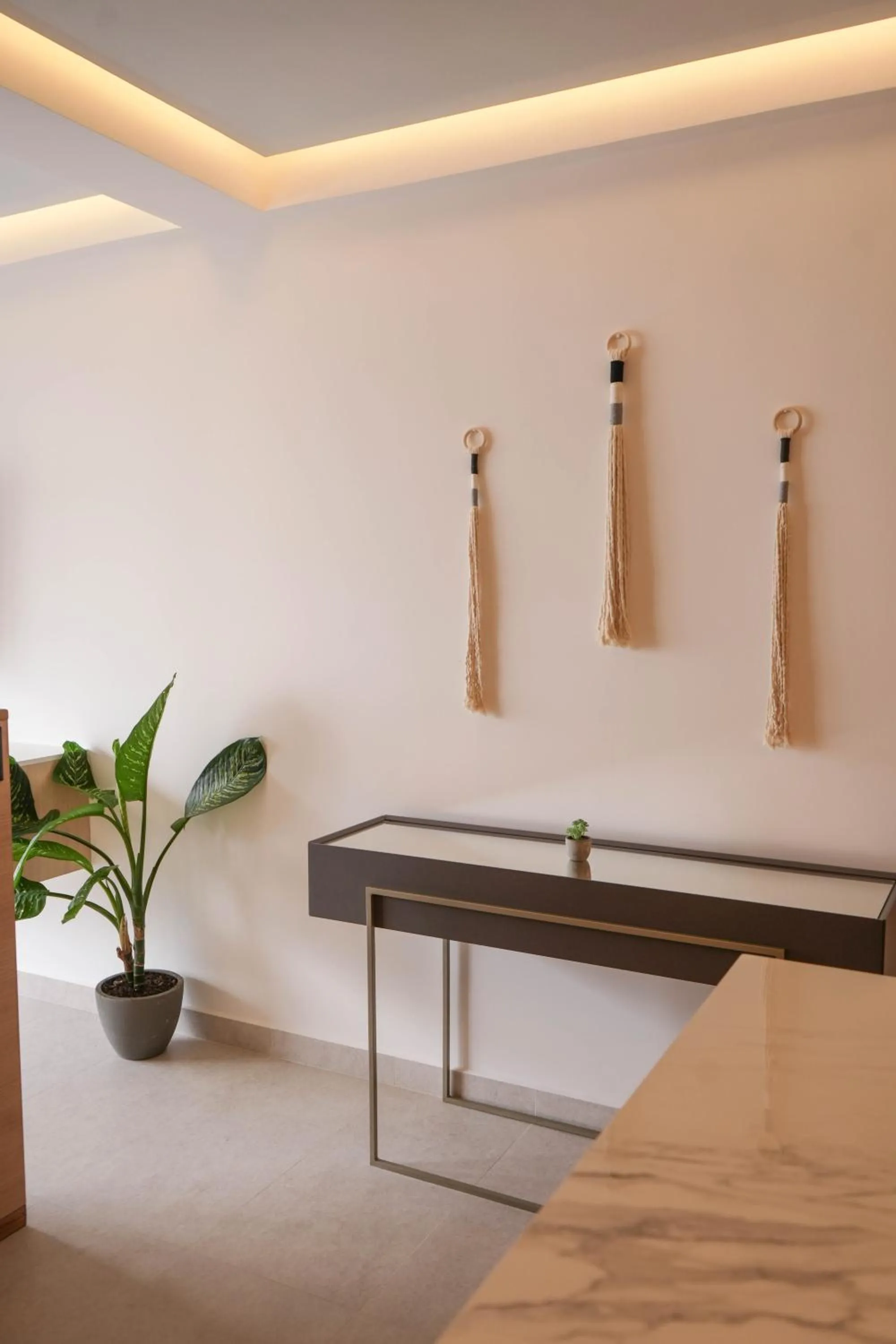 Macondo Quinta Avenida Residences