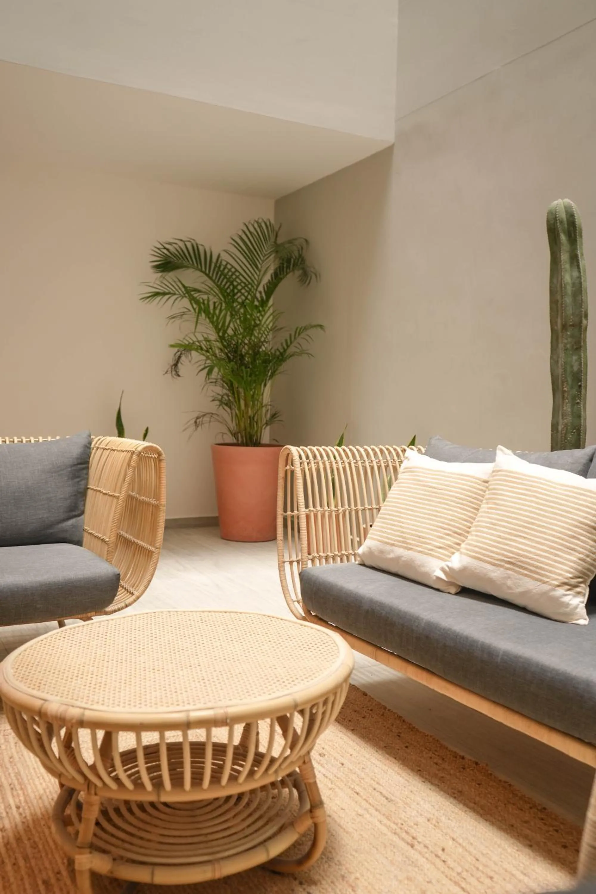 Macondo Quinta Avenida Residences