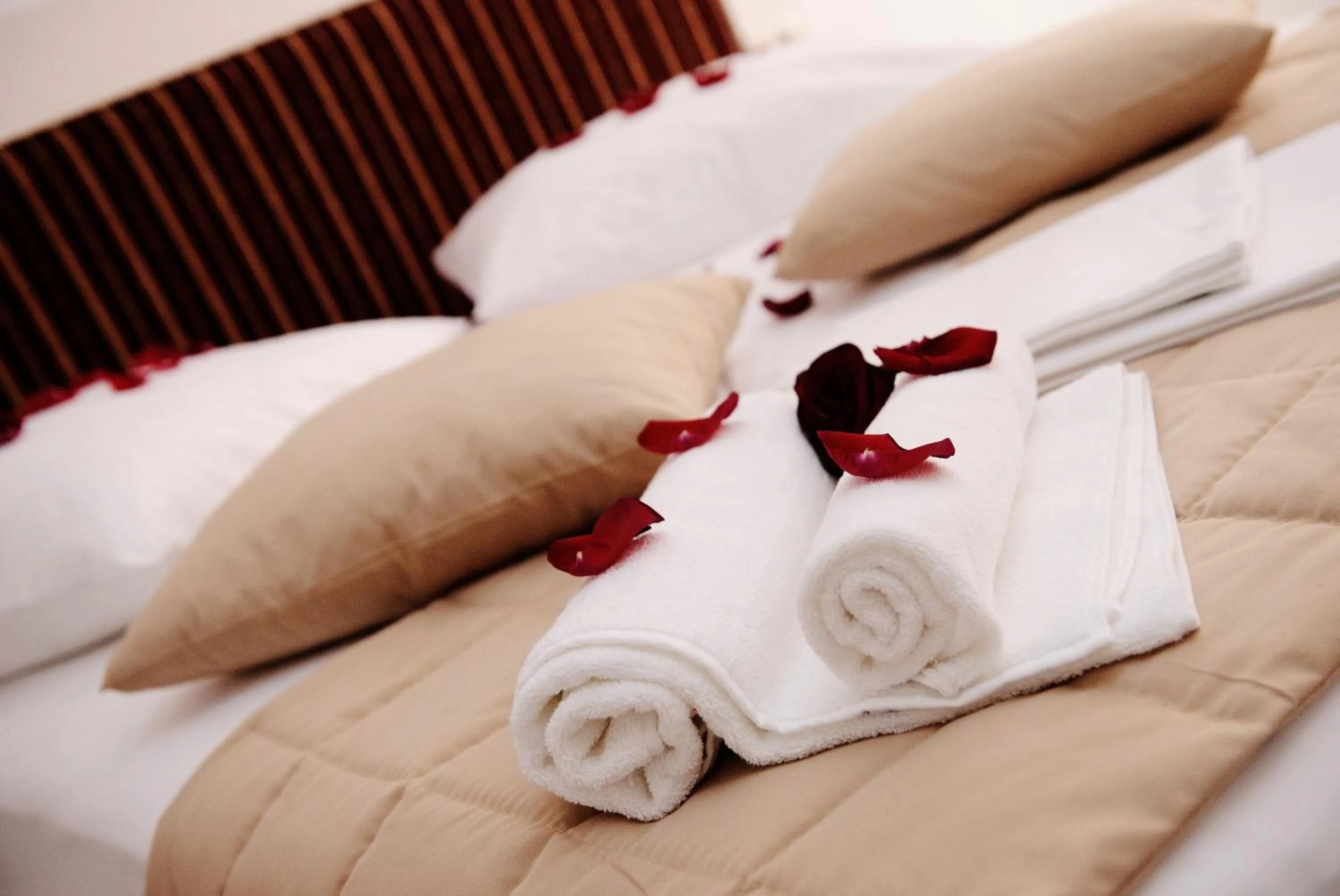 Bed in Villa Palloma