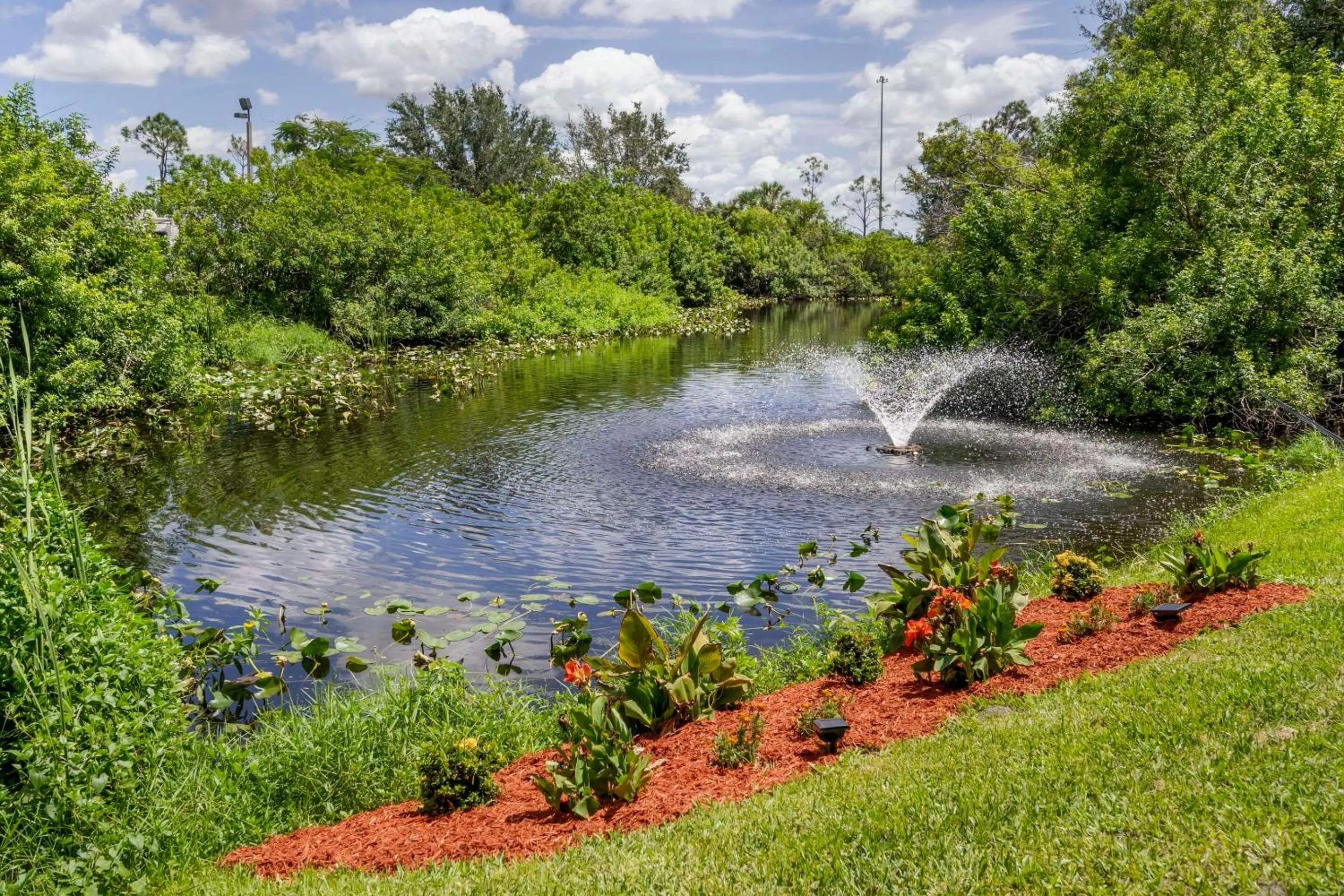 Other in Comfort Inn & Suites Port Charlotte-Punta Gorda