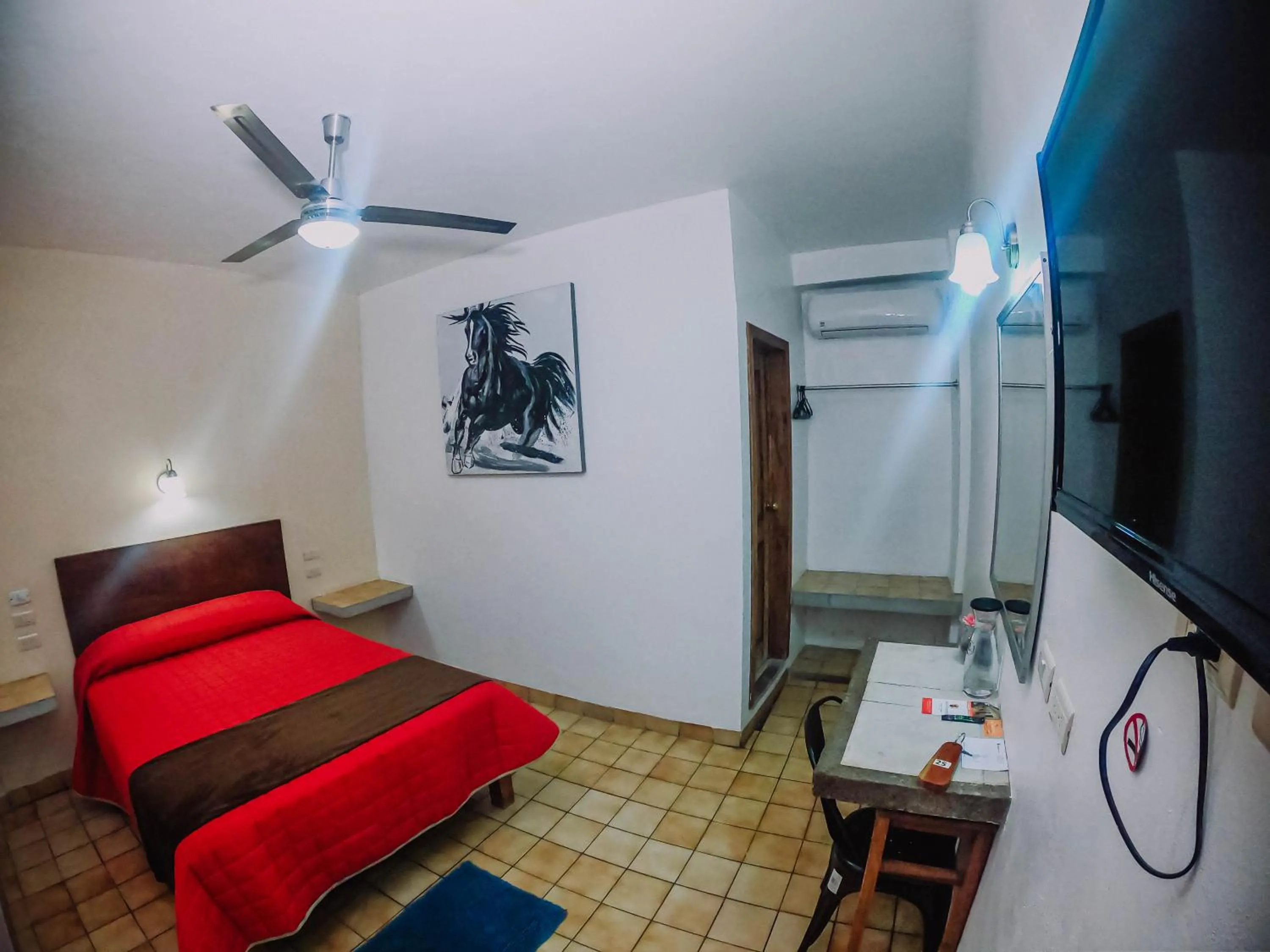 TV and multimedia in Hotel Cervantino