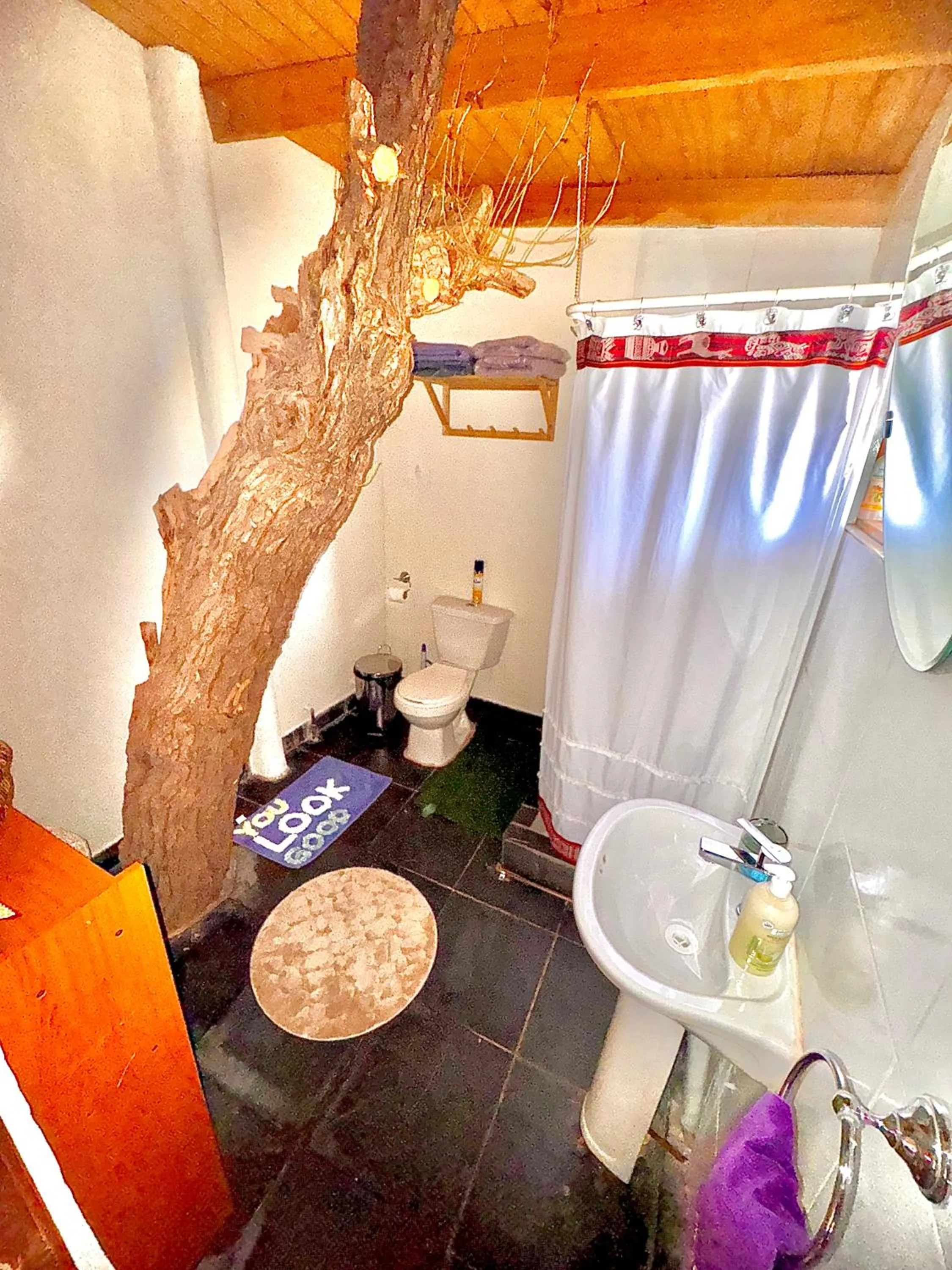 Bathroom in Atacama Lodge Rukazen Rústico