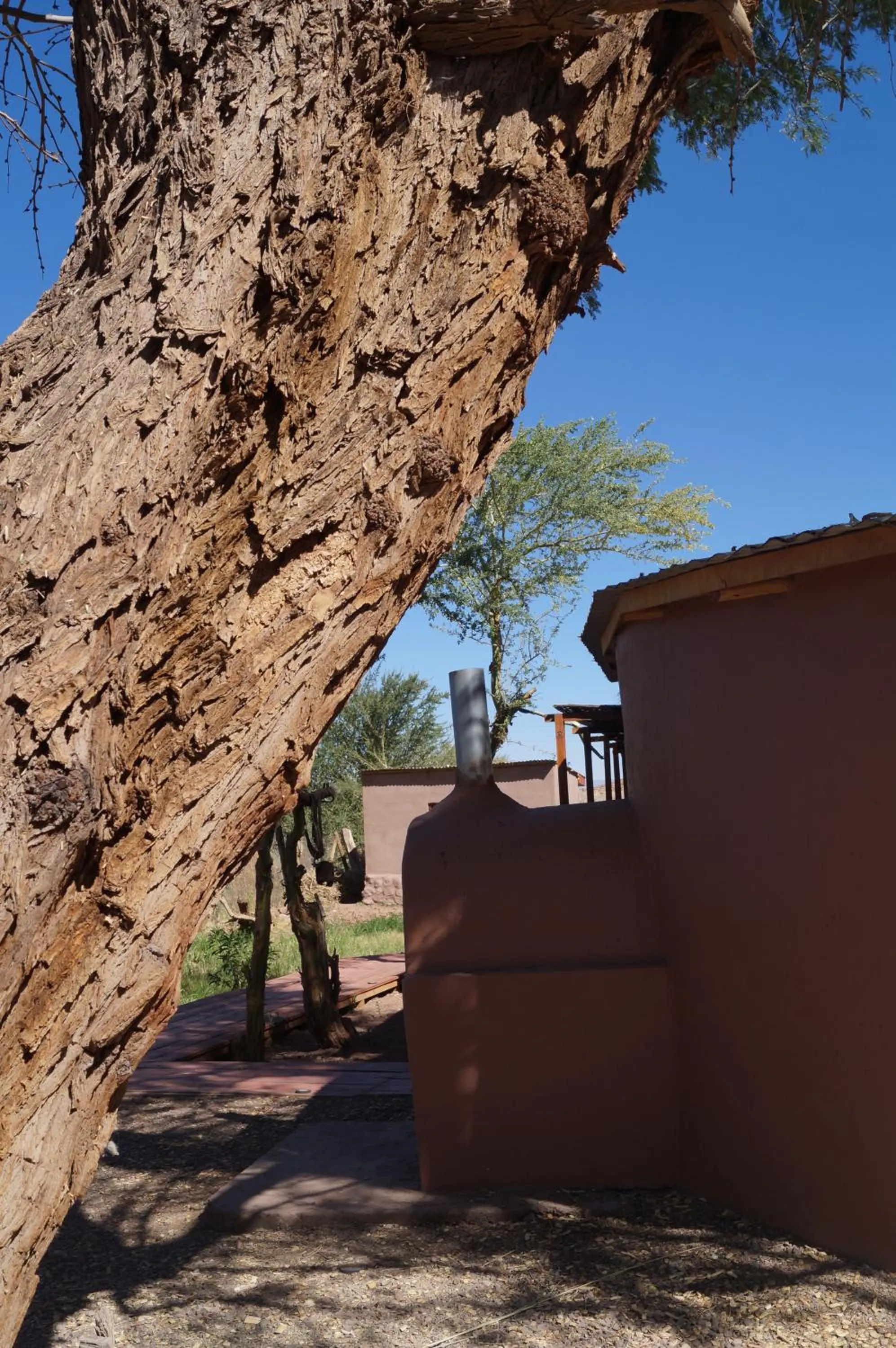 Area and facilities in Atacama Lodge Rukazen Rústico