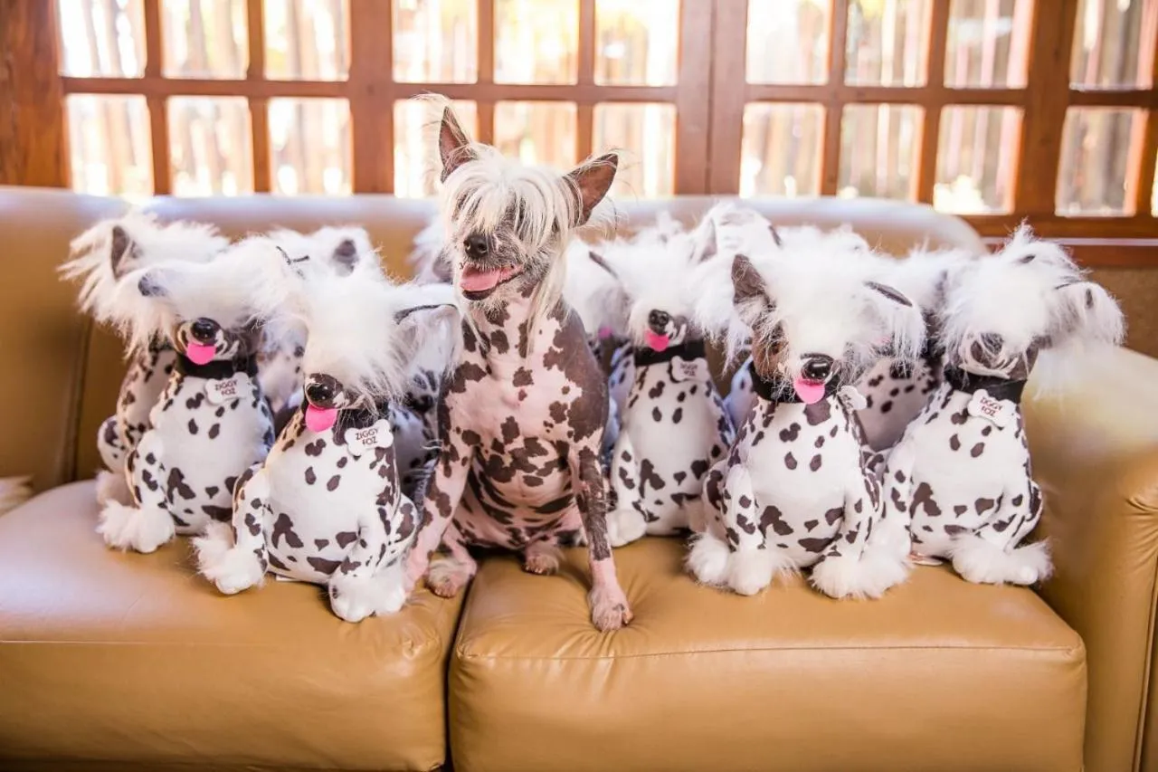 Staff in Eco Resort Foz do Marinheiro