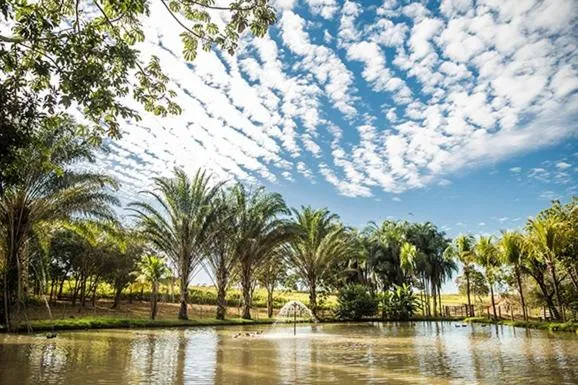 Spring in Eco Resort Foz do Marinheiro