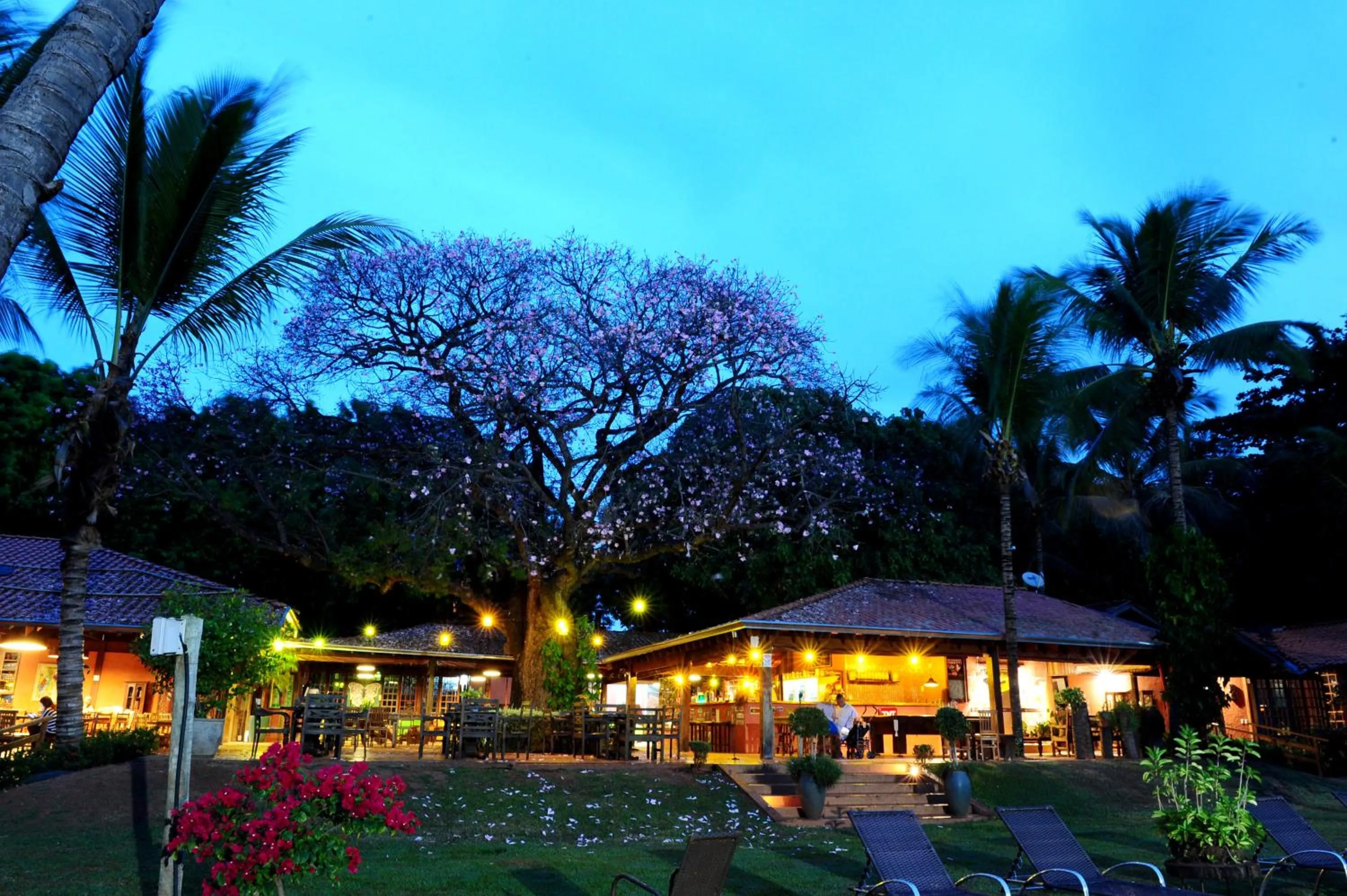 Lounge or bar in Eco Resort Foz do Marinheiro