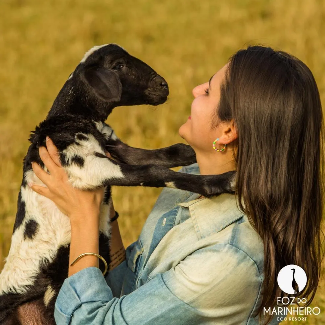 Animals in Eco Resort Foz do Marinheiro