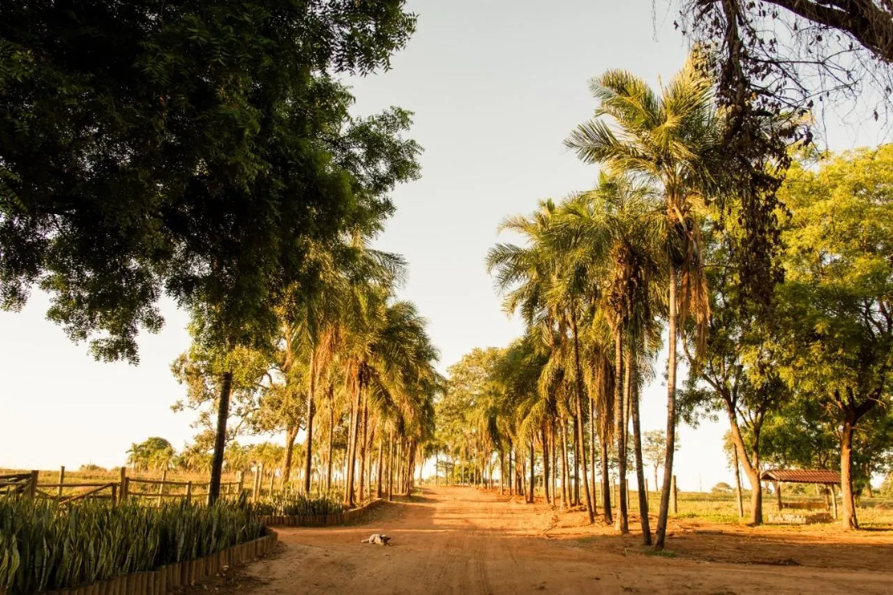 Facade/entrance in Eco Resort Foz do Marinheiro