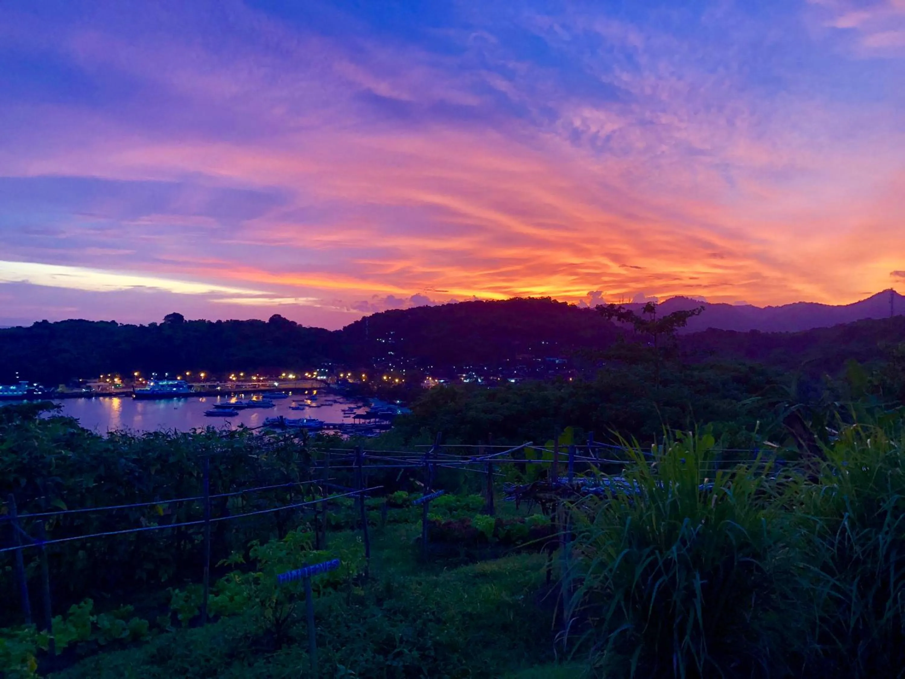 Garden in Bloo Lagoon Eco Village