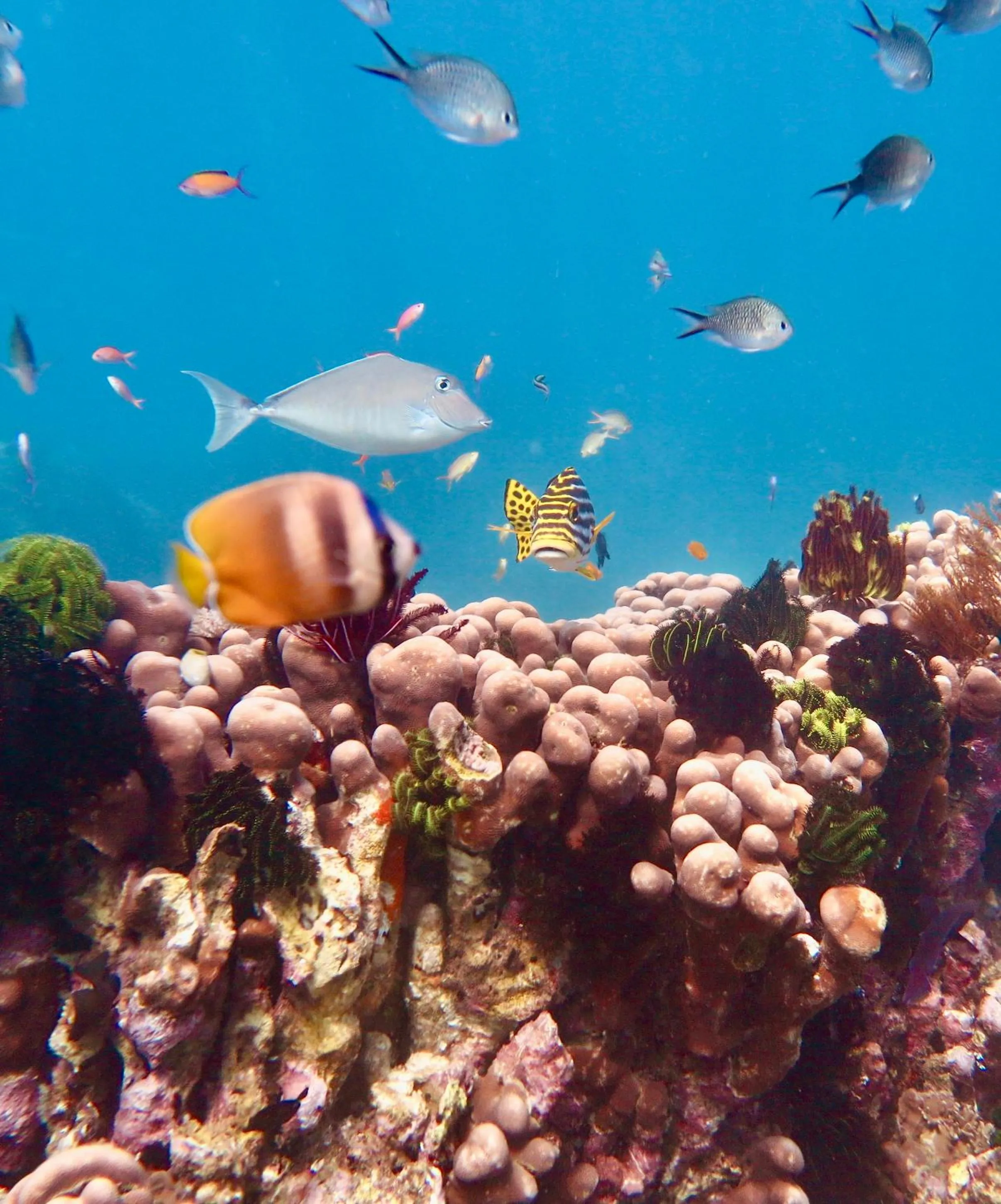 Activities in Bloo Lagoon Eco Village