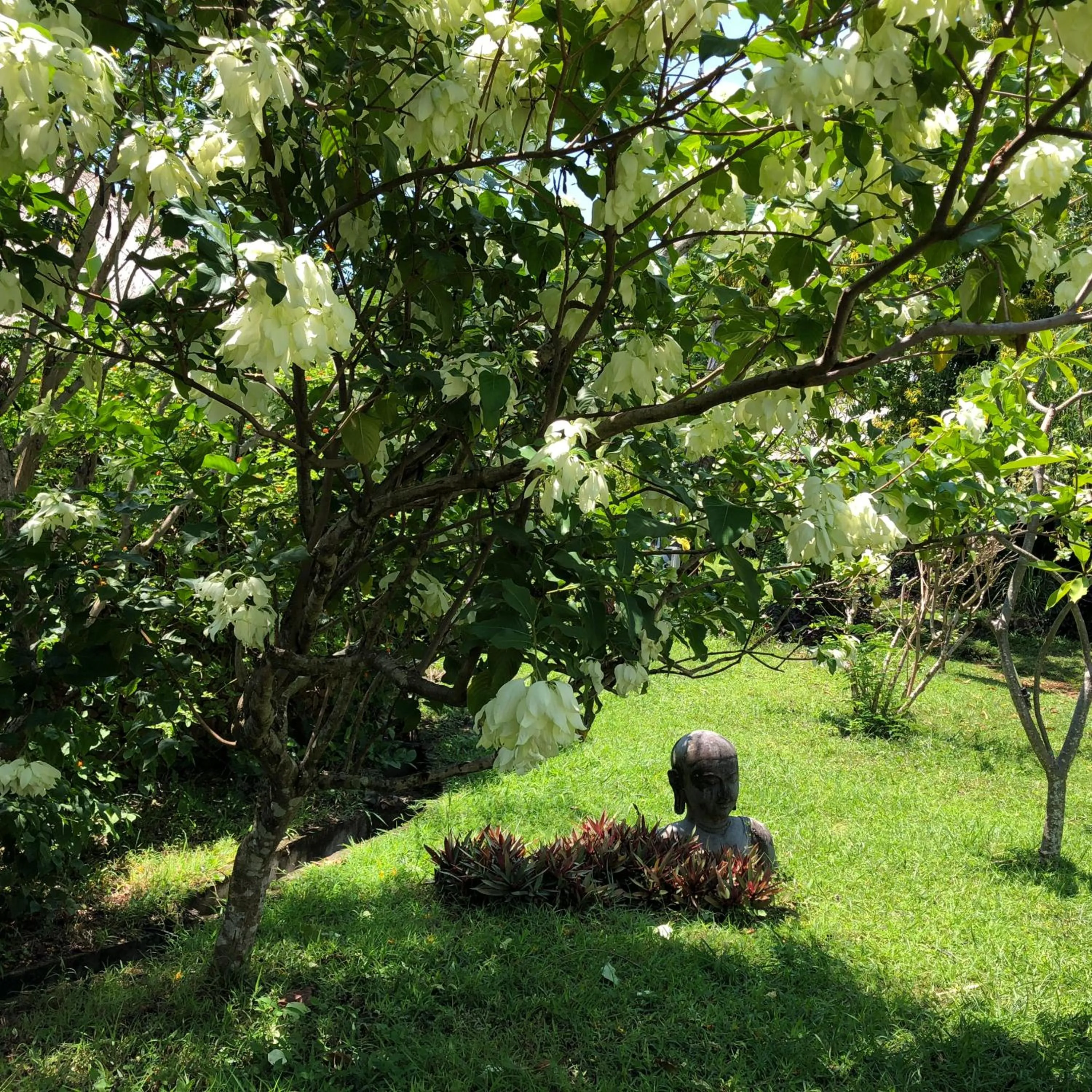 Garden in Bloo Lagoon Eco Village
