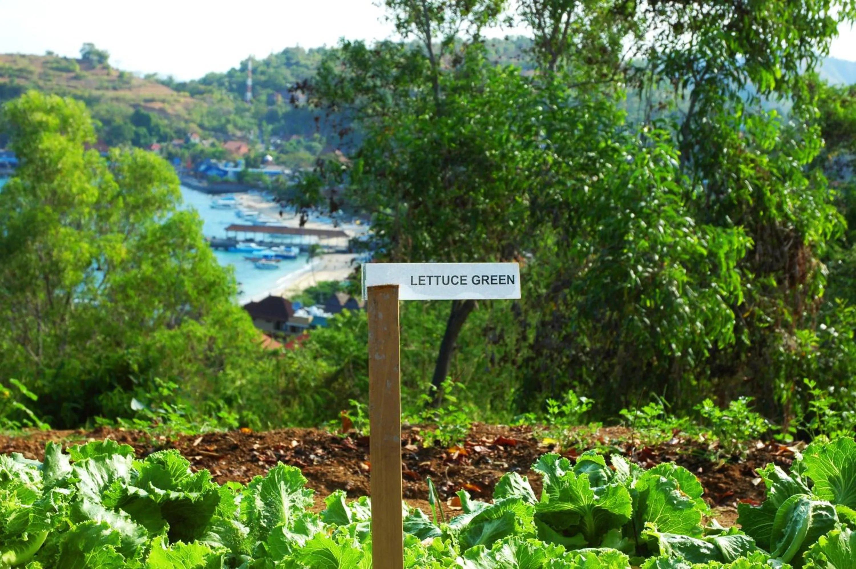 View (from property/room) in Bloo Lagoon Eco Village