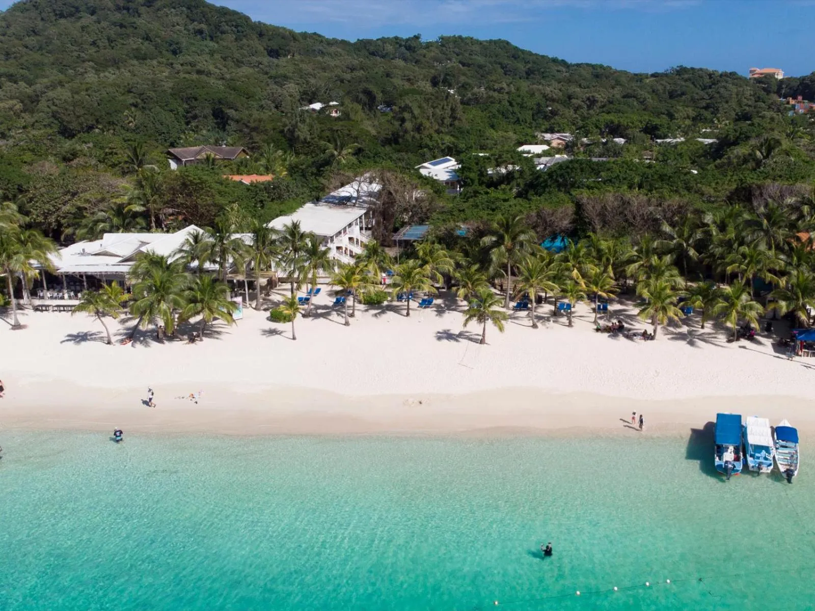 Beach in Hotel Henry Morgan All Inclusive