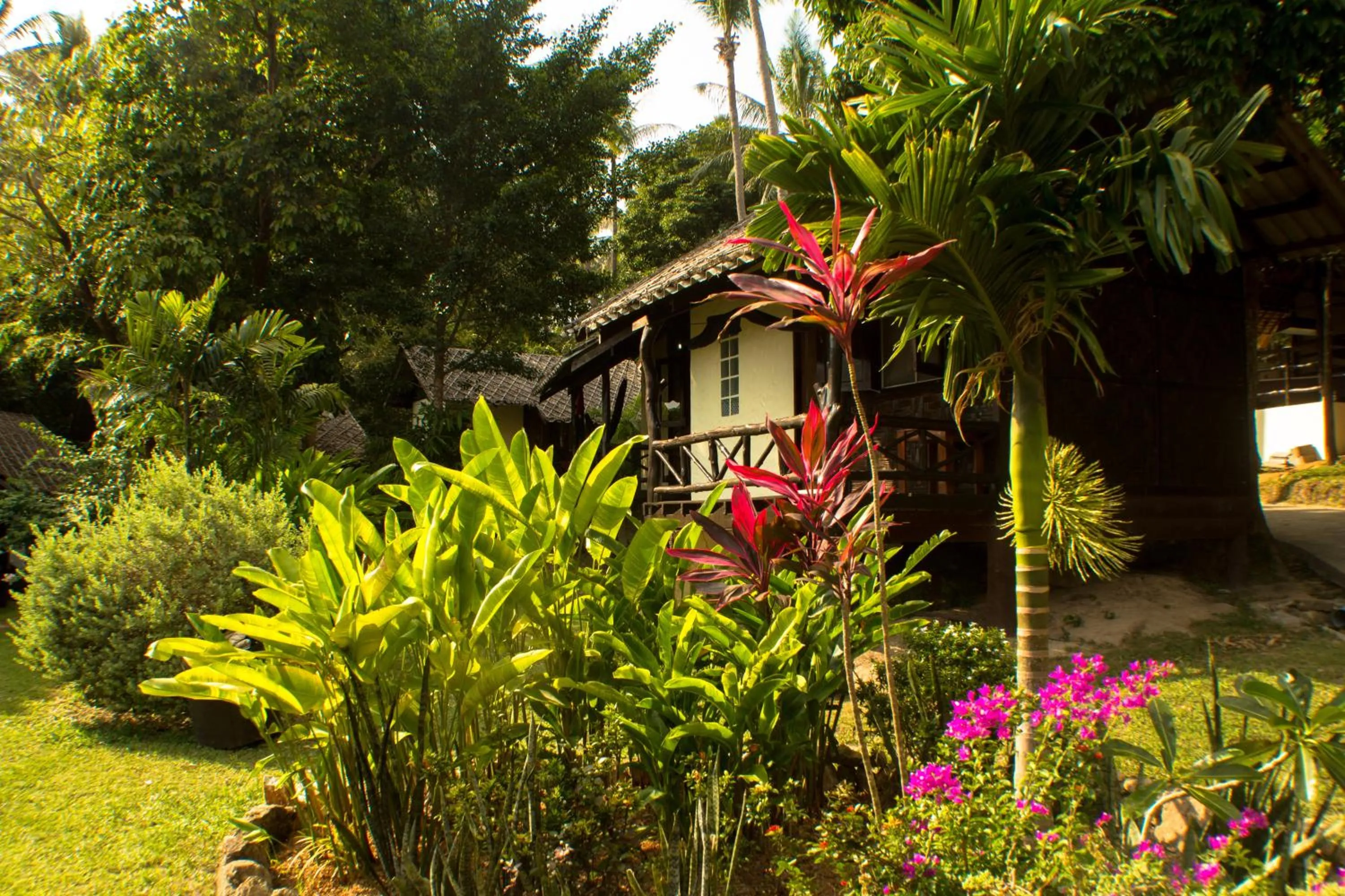 Garden view in Shiralea Resort