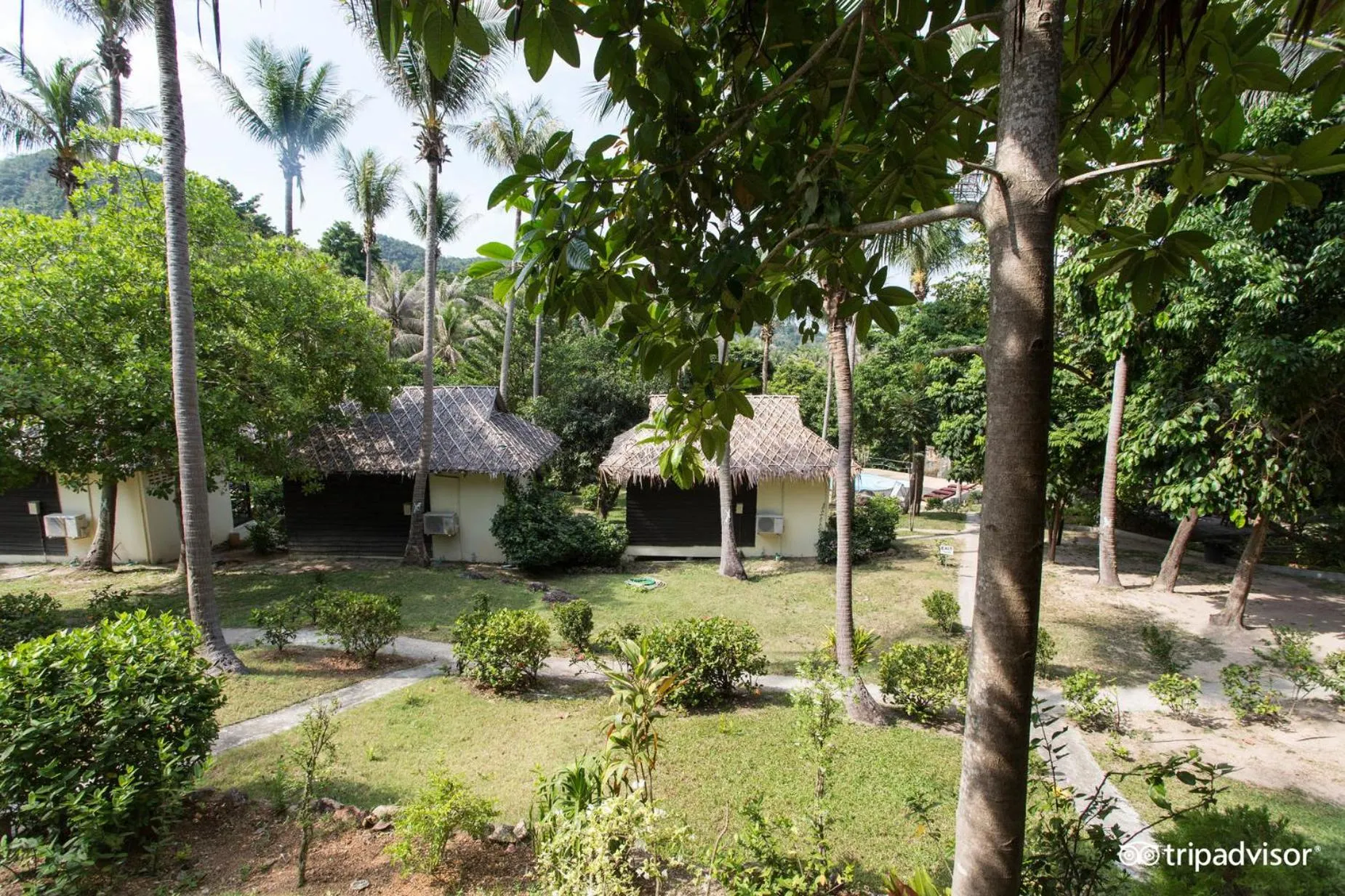 Garden in Shiralea Resort