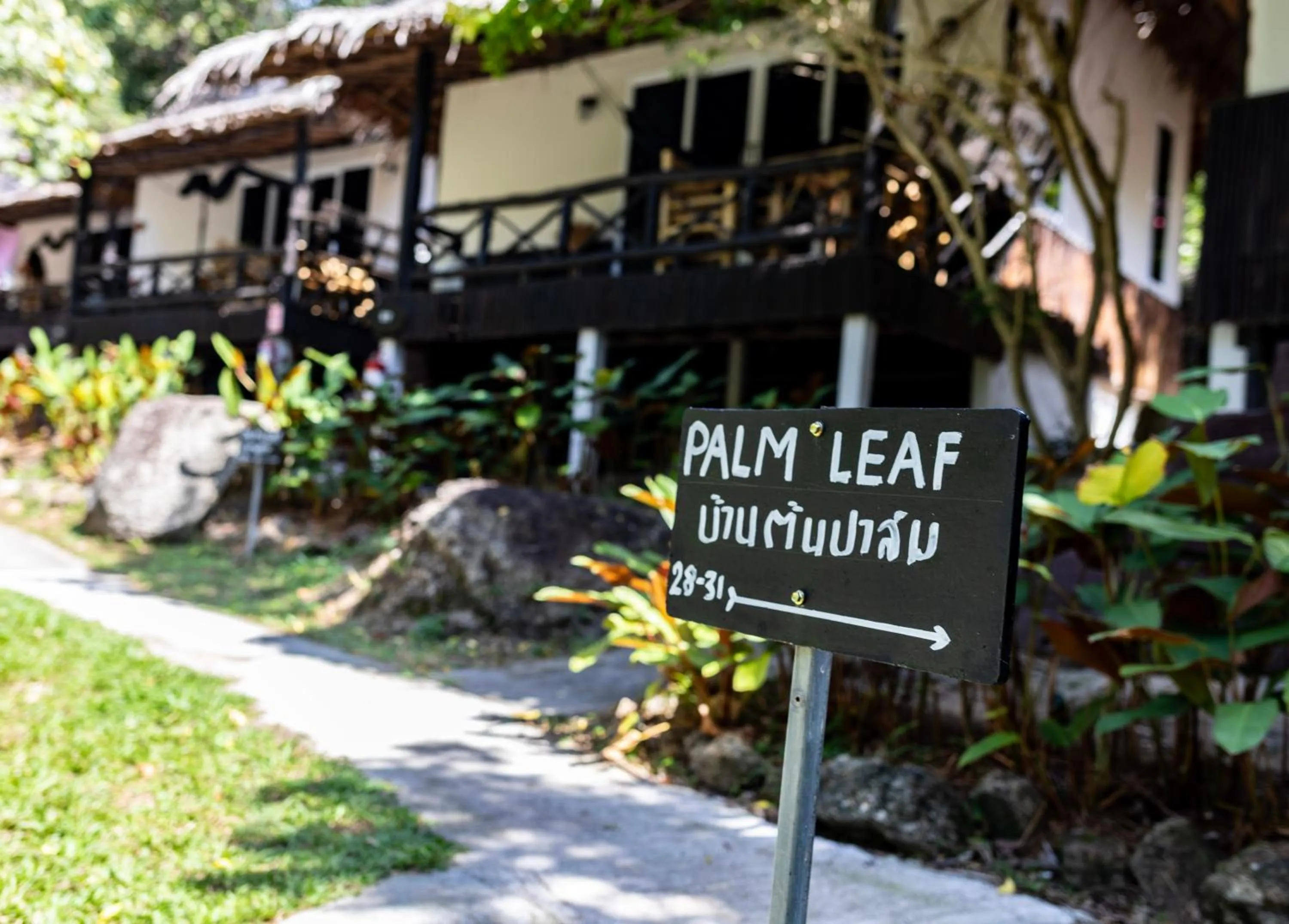 Day in Shiralea Resort